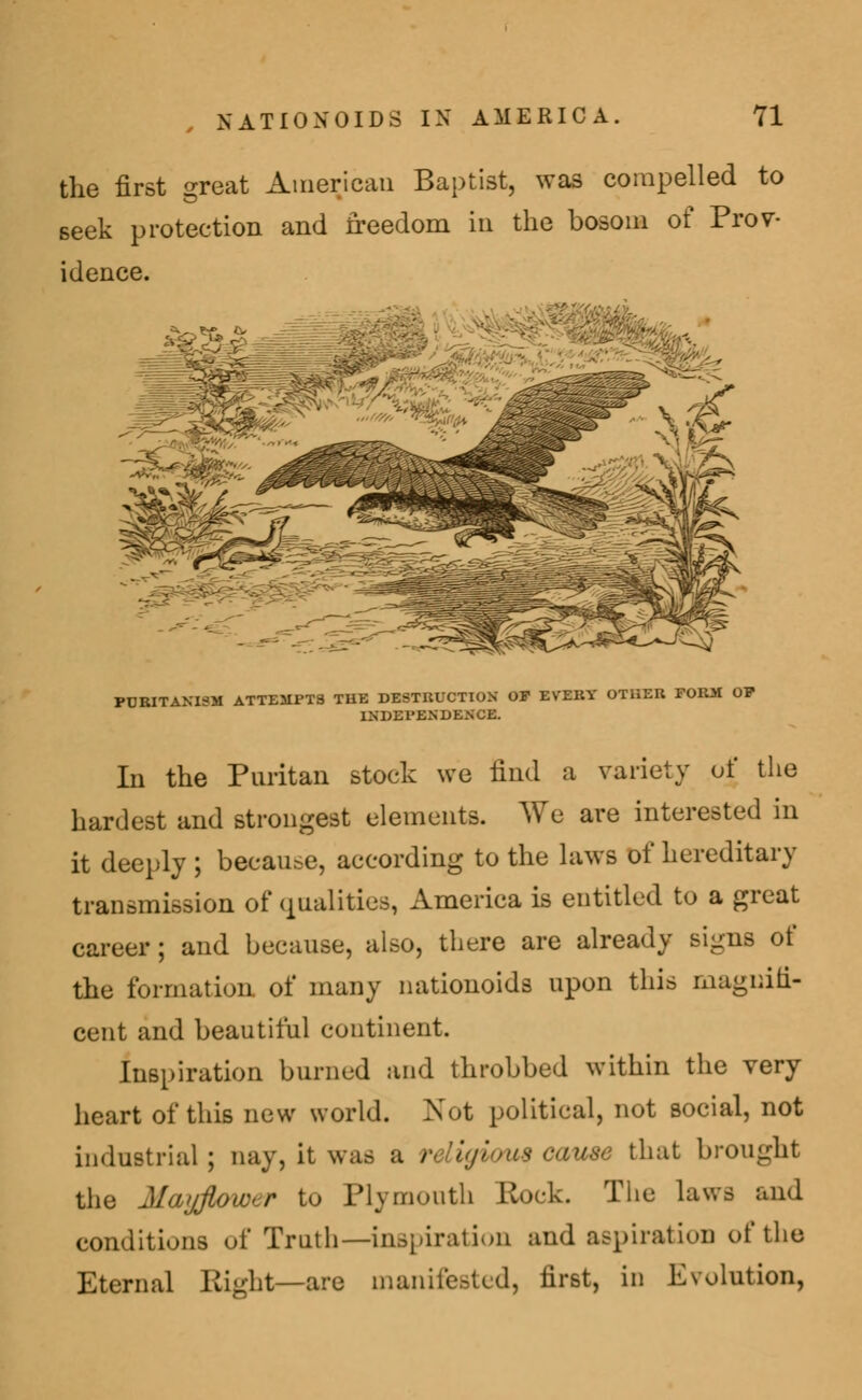 the first great American Baptist, was compelled to seek protection and freedom in the bosom of Prov- idence. PURITANISM ATTEMPTS THE DESTRUCTION OF EVERY OTHER FORM OF INDEPENDENCE. In the Puritan stock we find a variety of the hardest and strongest elements. We are interested in it deeply ; because, aecording to the laws of hereditary transmission of qualities, America is entitled to a great career ; and because, also, there are already signs of the formation of many nationoids upon this magnifi- cent and beautiful continent. Inspiration burned and throbbed within the very heart of this new world. Not political, not social, not industrial ; nay, it was a religious oa,U86 that brought the Mayflower to Plymouth Rock. The laws and conditions of Trath—inspiration and aspiration of the Eternal Bight—are manifested, first, in Evolution,