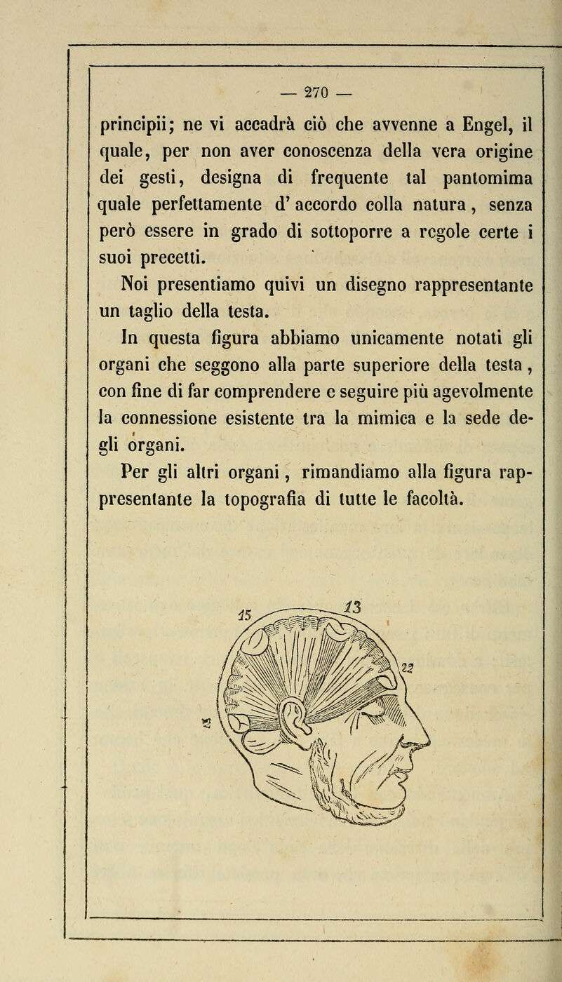 principii; ne vi accadrà ciò che avvenne a Engel, il quale, per non aver conoscenza della vera origine dei gesti, designa di frequente tal pantomima quale perfettamente d' accordo colla natura, senza però essere in grado di sottoporre a regole certe i suoi precetti. Noi presentiamo quivi un disegno rappresentante un taglio della testa. In questa figura abbiamo unicamente notati gli organi che seggono alla parte superiore della testa, con fine di far comprendere e seguire più agevolmente la connessione esistente tra la mimica e la sede de- gli organi. Per gli altri organi, rimandiamo alla figura rap- presentante la topografia di tutte le facoltà.