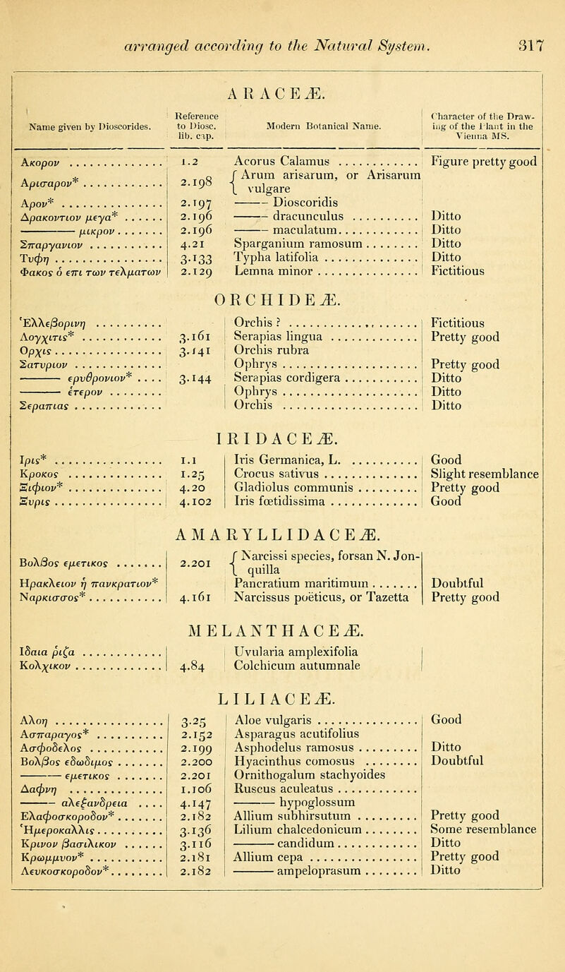 A R A C E M. Name given by Dioscorides. Reference to Diosc. lib. cip. Modern Botanical Name. Character of the Draw- ing of the Plant in the Vienna MS. AKopov Apiaapov* Apov* ApaKovriov peya* piKpov 'Sirapyavtov Tvfyr) $axos 6 em tu>v reXparcov 2.198 2.T97 2.196 2.196 4.21 3-J33 2.129 Acorus Calamus Figure pretty good J Arum arisarum, or Arisarum \ vulgare Dioscoridis dracunculus Ditto maculatum j Ditto Sparganium ramosum Ditto Typha latifolia ; Ditto Lemua minor ' Fictitious 'EXXeftopivrj Aoy%ms* 3-J6l OpXis 3- '41 Sarvpiov epvOpoviov* .... 3,J44 erepov 2epa7rtas 0 R C III D E JE. i Orchis ? Fictitious I Serapias lingua Pretty good Orchis rubra Ophrys Pretty good Serapias cordigera ! Ditto i Ophrys \ Ditto I Orchis Ditto Ipis* 1.1 Kpoaos !-25 3t.(piov* 4.20 Svpis j 4.102 I R I D A C E M. Iris Germanica, L \ Good Crocus sativus | Slight resemblance Gladiolus communis Pretty good Iris foetidissima Good AMARYLLIDAOEA BoXdos eperiKOs HpanXeiov 17 TravKpaTiov* NapKicraos* J Narcissi species, forsan N. Jon- 4.161 quilla Pancratium maritimuin Narcissus poeticus, or Tazetta Doubtful Pretty good MELANTHACEil. iSaia pi£a I KoX^ikou I 4. £ Uvularia amplexifolia Colchicum autumnale LILIACE^E. AXot) Aanapayos* Aa(po8eXos BoX(3os edadipos . . eperiKOs . . Aa<pvT) aXe£avdpeia EXa(po(TKopodov* . . Hp.ep0Ka.XX1s Kpipov ftacriXiKOv . Kpa>ppvov* AevKocTKopoSov*. . . 3-25 2.152 2.199 2.200 2.20I 1.106 4.147 2.182 3-i36 3.116 2.181 2.182 Aloe vulgaris Asparagus acutifolius Asphodelus ramosus Hyacinthus comosus Ornithogalum stachyoides Ruscus aculeatus hypoglossum Allium subhirsutum Lilium chalcedonicum Good Ditto Doubtful Pretty good Some resemblance • candidum Ditto Allium cepa j Pretty good ampeloprasum I Ditto