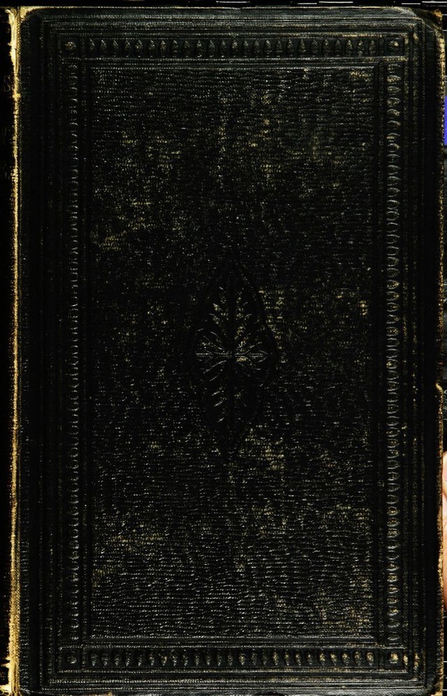 No text description is available for this image