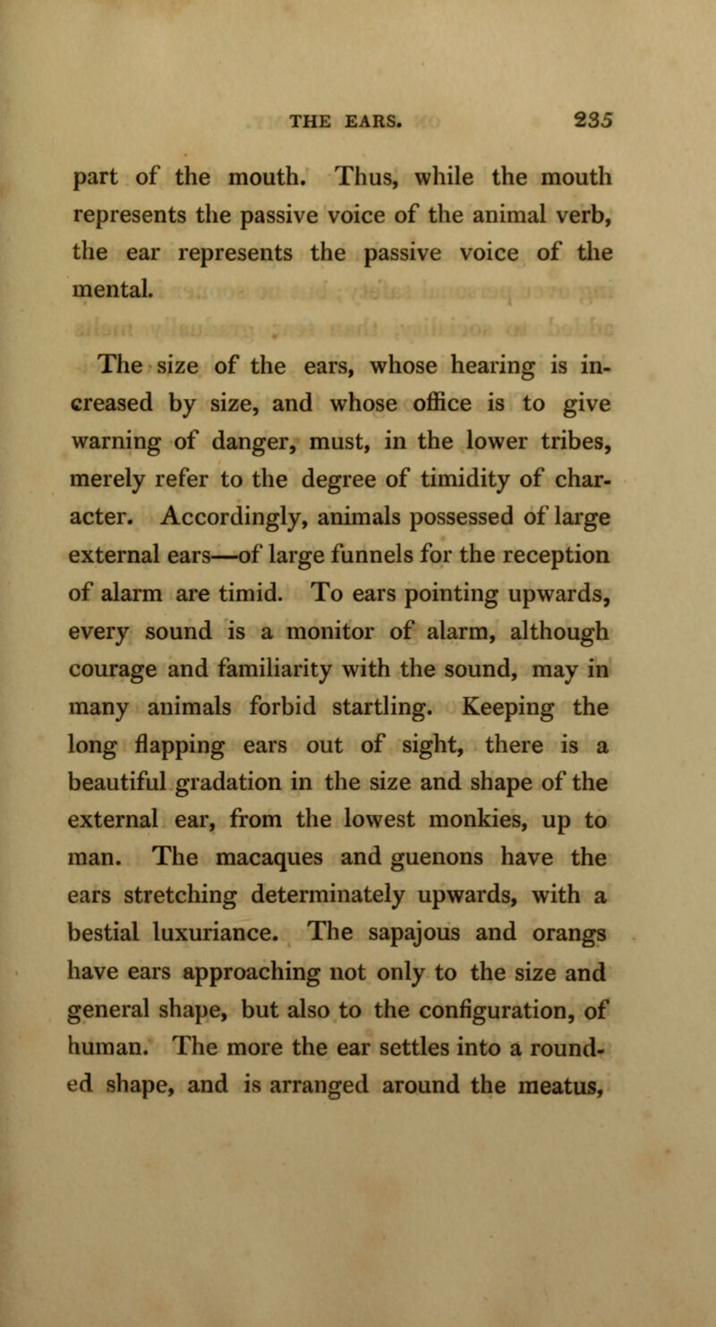 part of the mouth. Thus, while the mouth represents the passive voice of the animal verb, the ear represents the passive voice of the mental. The size of the ears, whose hearing is in- creased by size, and whose office is to give warning of danger, must, in the lower tribes, merely refer to the degree of timidity of char- acter. Accordingly, animals possessed of large external ears—of large funnels for the reception of alarm are timid. To ears pointing upwards, every sound is a monitor of alarm, although courage and familiarity with the sound, may in many animals forbid startling. Keeping the long flapping ears out of sight, there is a beautiful gradation in the size and shape of the external ear, from the lowest monkies, up to man. The macaques and guenons have the ears stretching determinately upwards, with a bestial luxuriance. The sapajous and orangs have ears approaching not only to the size and general shape, but also to the configuration, of human. The more the ear settles into a round- ed shape, and is arranged around the meatus,