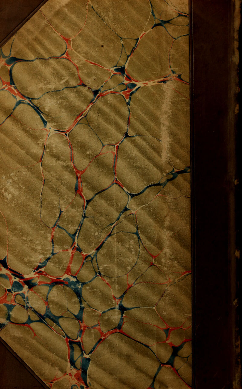 \.-. ; - i << *< Y if / '<* / ¥■ t / \ V. -¥ \\ A