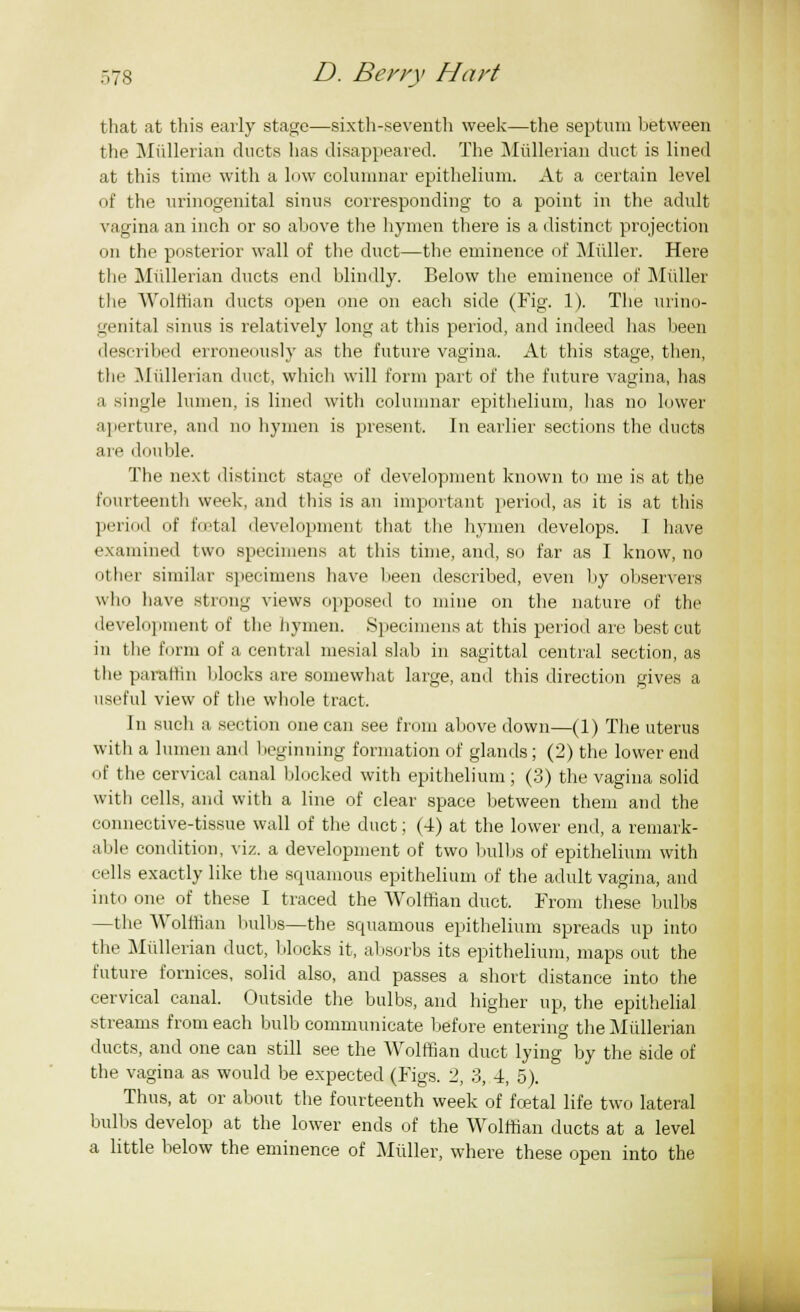 on D. Berry Hart that at this early stage—sixth-seventh week—the septum between the Mullerian ducts has disappeared. The Mullerian duct is lined at this time with a low columnar epithelium. At a certain level nf the urine-genital sinus corresponding to a point in the adult vagina an inch or so above the hymen there is a distinct projection on the posterior wall of the duct—the eminence of Midler. Here the Miillerian ducts end blindly. Below the eminence of Midler the Wolffian ducts open one on each side (Fig. 1). The urino- genital sinus is relatively long at this period, and indeed has been described erroneously as the future vagina. At this stage, then, tin' Miillerian duct, which will form part of the future vagina, has a single lumen, is lined with columnar epithelium, lias no lower aperture, and no hymen is present. In earlier sections the ducts are double. The next distinct stage of development known to me is at the fourteenth week, and this is an important period, as it is at this period of foBtal development that the hymen develops. I have examined two specimens at this time, and, so far as I know, no other similar specimens have been described, even by observers who have strong views opposed to mine on the nature of the development of the hymen. .Specimens at this period are best cut in the form of a central mesial slab in sagittal central section, as the paraffin blocks are somewhat large, and this direction gives a useful view of the whole tract. In such a section one can see from above down—(1) The uterus with a lumen and beginning formation of glands; (2) the lower end of the cervical canal blocked with epithelium; (3) the vagina solid with cells, and with a line of clear space between them and the connective-tissue wall of the duct; (4) at the lower end, a remark- able condition, viz. a development of two bulbs of epithelium with cells exactly like the squamous epithelium of the adult vagina, and into one of these I traced the Wolffian duct. From these bulbs —the Wolffian 1 lulbs—the squamous epithelium spreads up into the Miillerian duet, blocks it, absorbs its epithelium, maps out the future fornices, solid also, and passes a short distance into the cervical canal. Outside the bulbs, and higher up, the epithelial streams from each bulb communicate before entering the Mullerian ducts, and one can still see the Wolffian duct lying by the side of the vagina as would be expected (Figs. 2, 3, 4, 5). Thus, at or about the fourteenth week of foetal life two lateral bulbs develop at the lower ends of the Wolffian ducts at a level a little below the eminence of Muller, where these open into the