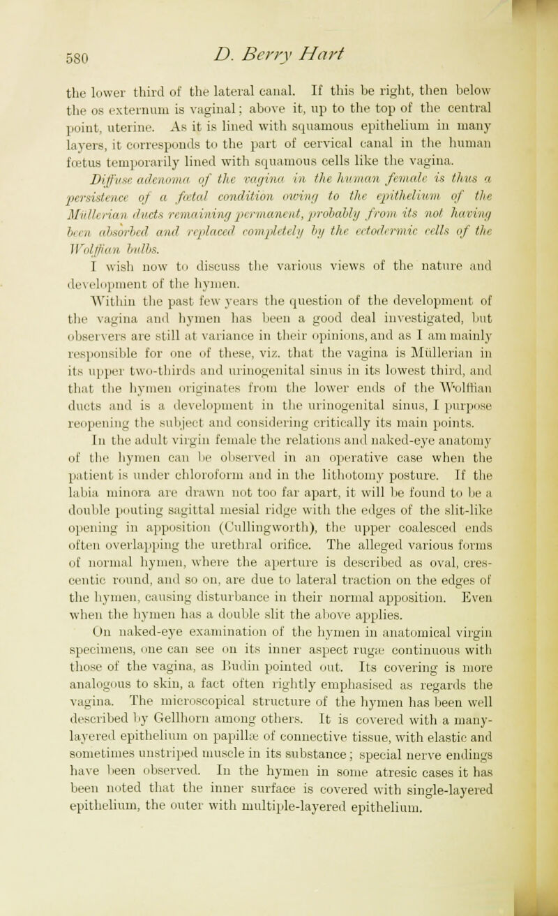 the lower third of the lateral canal. If this he right, then below the os externum is vaginal; above it, up to the top of the central point, uterine. As it is lined with squamous epithelium in many layers, it corresponds to the part of cervical canal in the human fcetus temporarily lined with squamous cells like the vagina. Diffuse adenoma of the rat/inn in the human female is thus a persistence of a fatal condition owing to the epithelium of the Miillerian ducts remaining permanent, probably from its not having been absorbed and replaced completely by the ectodermic cells of the Wolffian bulbs. 1 wish now to discuss the various views of the nature and development of the hymen. Within the past few years the question of the development of the vagina and hymen has been a good deal investigated, but observers are still at variance in their opinions, and as I am mainly responsible for one of these, viz. that the vagina is Miillerian in its upper two-thirds and urinogenital sinus in its lowest third, and that the hymen originates from the lower ends of the Wolffian duels and is a development in the urinogenital sinus, I purpose reopening the subject and considering critically its main points. In the adult virgin female the relations and naked-eye anatomy of the hymen can be observed in an operative case when the patient is under chloroform and in the lithotomy posture. If the labia minora are drawn not too far apart, it will be found to be a double pouting sagittal mesial ridge with the edges of the slit-like opening in apposition (Cullingworth), the upper coalesced ends often overlapping the urethral orifice. The alleged various forms of normal hymen, where the aperture is described as oval, cres- centic round, and so on, are due to lateral traction on the edges of the hymen, causing disturbance in their normal apposition. Even when the hymen has a double slit the above applies. On naked-eye examination of the hymen in anatomical virgin specimens, one can see on its inner aspect ruga.' continuous with those of the vagina, as Budin pointed out. Its covering is more analogi ius to skin, a fact often rightly emphasised as regards the vagina. The microscopical structure of the hymen has been well described by Gellhorn among others. It is covered with a many- layered epithelium on papillae of connective tissue, with elastic and sometimes unstriped muscle in its substance; special nerve endings have 1 ieen observed. In the hymen in some atresic cases it has been noted that the inner surface is covered with single-layered epithelium, the outer with multiple-layered epithelium.