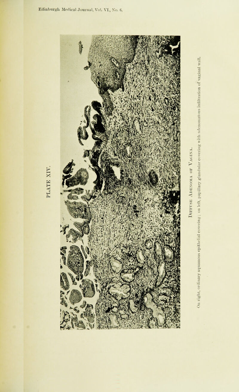 ■ ■■ ■■ ■ • ■ :. ' '.•■'.: :■'.:■ • ■ ■.:.<■' X w H <\ yA Ph 5*5 5