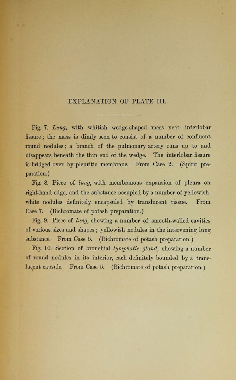 Fig. 7. Lung, with whitish wedge-shaped mass near interlobar fissure j the mass is dimly seen to consist of a number of confluent round nodules; a branch of the pulmonary artery runs up to and disappears beneath the thin end of the wedge. The interlobar fissure is bridged over by pleuritic membrane. From Case 2. (Spirit pre- paration.) Fig. 8. Piece of lung, with membranous expansion of pleura on right-hand edge, and the substance occupied by a number of yellowish- white nodules definitely encapsuled by translucent tissue. From Case 7. (Bichromate of potash preparation.) Fig. 9. Piece of lung, showing a number of smooth-walled cavities of various sizes and shapes ; yellowish nodules in the intervening lung substance. From Case 5. (Bichromate of potash preparation.) Fig. 10. Section of bronchial lymphatic gland, showing a number of round nodules in its interior, each definitely bounded by a trans- lucent capsule. From Case 5. (Bichromate of potash preparation.)