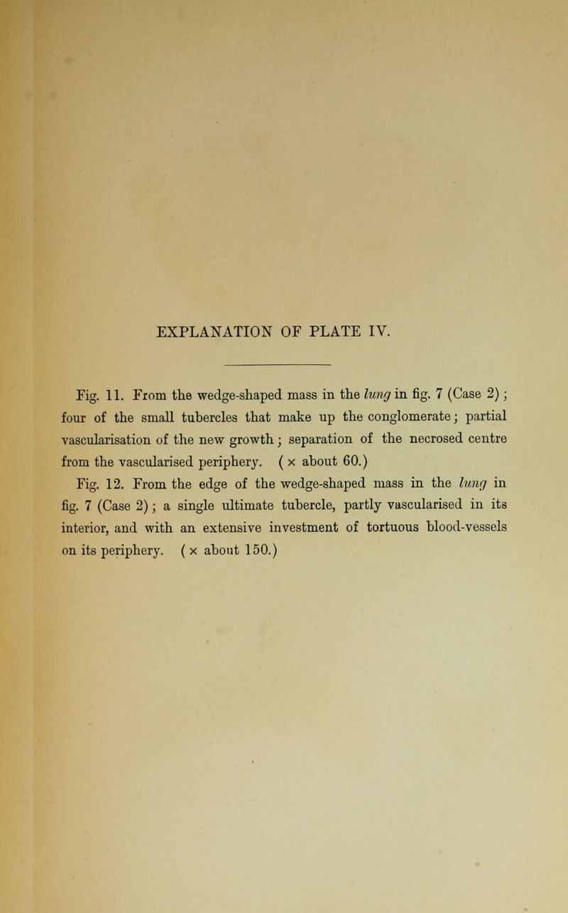 Fig. 11. From the wedge-shaped mass in the lung in fig. 7 (Case 2); four of the small tubercles that make up the conglomerate; partial vascularisation of the new growth ; separation of the necrosed centre from the vascularised periphery. ( x about 60.) Fig. 12. From the edge of the wedge-shaped mass in the lung in fig. 7 (Case 2); a single ultimate tubercle, partly vascularised in its interior, and with an extensive investment of tortuous blood-vessels on its periphery. ( x about 150.)