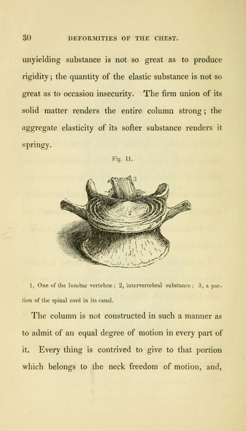 unyielding substance is not so great as to produce rigidity; the quantity of the elastic substance is not so great as to occasion insecurity. The firm union of its solid matter renders the entire column strong; the aggregate elasticity of its softer substance renders it springy. Fig. II. 1, One of the lumbar vertebrae ; 2, intervertebral substance ; 3, a por- tion of the spinal cord in its canal. The column is not constructed in such a manner as to admit of an equal degree of motion in every part of it. Every thing is contrived to give to that portion which belongs to the neck freedom of motion, and,