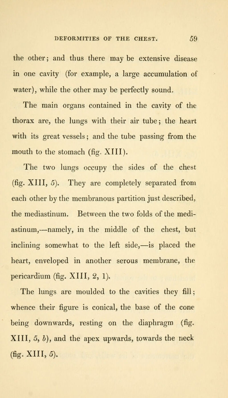 the other; and thus there may be extensive disease in one cavity (for example, a large accumulation of water), while the other may be perfectly sound. The main organs contained in the cavity of the thorax are, the lungs with their air tube; the heart with its great vessels; and the tube passing from the mouth to the stomach (fig. XIII). The two lungs occupy the sides of the chest (fig. XIII, 5). They are completely separated from each other by the membranous partition just described, the mediastinum. Between the two folds of the medi- astinum,—namely, in the middle of the chest, but inclining somewhat to the left side,—is placed the heart, enveloped in another serous membrane, the pericardium (fig. XIII, 2, 1). The lungs are moulded to the cavities they fill; whence their figure is conical, the base of the cone being downwards, resting on the diaphragm (fig. XIII, 5, b), and the apex upwards, towards the neck (fig. XIII, 5).