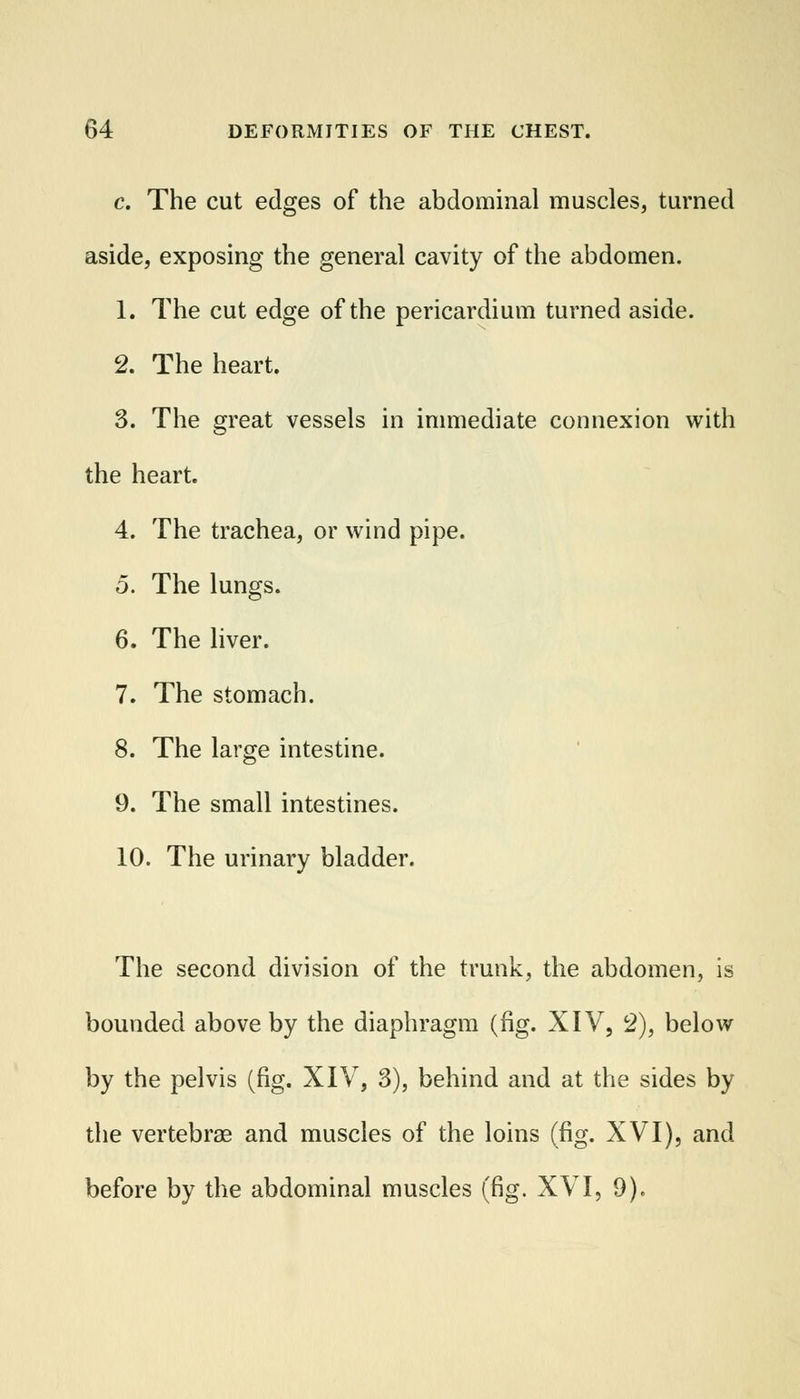 c. The cut edges of the abdominal muscles, turned aside, exposing the general cavity of the abdomen. 1. The cut edge of the pericardium turned aside. 2. The heart. 3. The great vessels in immediate connexion with the heart. 4. The trachea, or wind pipe. 5. The lungs. 6. The liver. 7. The stomach. 8. The large intestine. 9. The small intestines. 10. The urinary bladder. The second division of the trunk, the abdomen, is bounded above by the diaphragm (fig. XIV, 2), below by the pelvis (fig. XIV, 3), behind and at the sides by the vertebrae and muscles of the loins (fig. XVI), and before by the abdominal muscles (fig. XVI, 9).