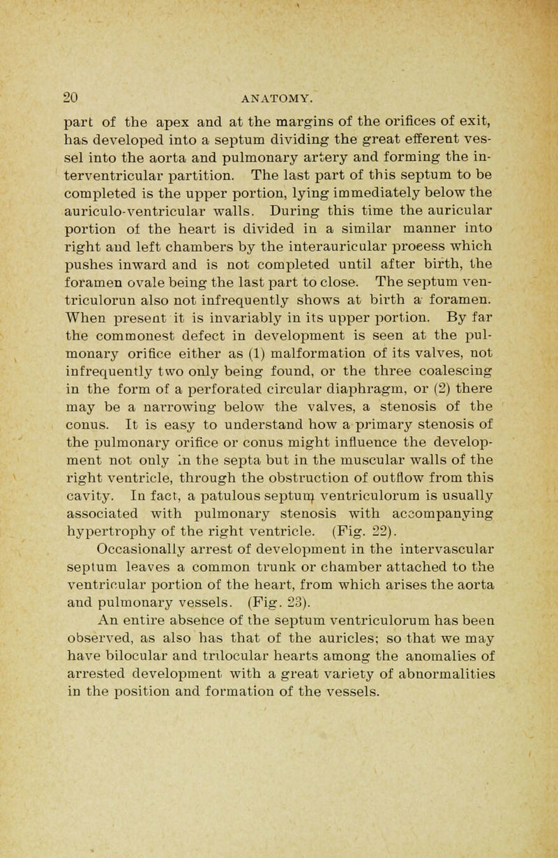 part of the apex and at the margins of the orifices of exit, has developed into a septum dividing the great efferent ves- sel into the aorta and pulmonary artery and forming the in- terventricular partition. The last part of this septum to be comjileted is the upper portion, lying immediately below the auriculo-ventricular walls. During this time the auricular portion of the heart is divided in a similar manner into right and left chambers by the interauricular process which pushes inward and is not completed until after birth, the foramen ovale being the last part to close. The septum ven- triculorun also not infrequently shows at birth a foramen. When present it is invariably in its upper portion. By far the commonest defect in development is seen at the pul- monary orifice either as (1) malformation of its valves, not infrequently two only being found, or the three coalescing in the form of a perforated circular diaphragm, or (2) there may be a narrowing below the valves, a stenosis of the conus. It is easy to understand how a primary stenosis of the pulmonary orifice or conus might influence the develop- ment not only In the septa but in the muscular walls of the right ventricle, through the obstruction of outflow from this cavity. In fact, a patulous septun^ ventriculorum is usually associated with pulmonary stenosis with accompanying hypertrophy of the right ventricle. (Fig. 22). Occasionally arrest of development in the intervascular septum leaves a common trunk or chamber attached to the ventricular portion of the heart, from which arises the aorta and pulmonary vessels. (Fig. 23). An entire absence of the septum ventriculorum has been observed, as also has that of the auricles; so that we may have bilocular and trilocular hearts among the anomalies of arrested development with a great variety of abnormalities in the position and formation of the vessels.