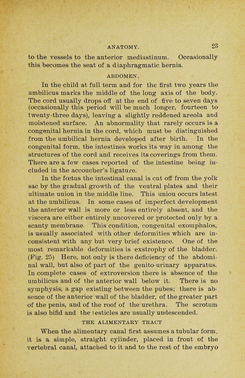 to the vessels to the anterior mediastinum. Occasionally this becomes the seat of a diaphragmatic hernia. ABDOMEN. In the child at full term and for the first two years the umbilicus marks the middle of the long axis of the body. The cord usually drops off at the end of five to seven days (occasionally this period will be much longer, fourteen to twenty-three days), leaving a slightly reddened areola aud moistened surface. An abnormality that rarely occurs is a congenital hernia in the cord, which must be distinguished from the umbilical hernia developed after birth. In the congenital form, the intestines works its way in among the structures of the cord and receives its coverings from them. There are a few cases reported of the intestine being in- cluded in the accoucher's ligature. In the foetus the intestinal canal is cut off from the yolk sac by the gradual growth of the ventral plates and their ultimate union in the middle line. This union occurs latest at the umbilicus. In some cases of imperfect development the anterior wall is more or less entirely absent, and the viscera are either entirely uncovered or protected only by a scanty membrane- This condition, congenital exomphalos, is usually associated with other deformities which are in- consistent with any but very brief existence. One of the most remarkable deformities is exstrophy of the bladder. (Fig. 25) Here, not only is there deficiency of the abdomi- nal wall, but also of part of the genitourinary apparatus. In complete cases of extroversion there is absence of the umbilicus and of the anterior wall below it. There is no symphysis, a gap existing between the pubes; there is ab- sence of the anterior wall of the bladder, of the greater part of the penis, and of the roof of the urethra. The scrotum is also bifid and the i esticles are usually undescended. THE ALIMENTARY TRACT When the alimentary canal first assumes a tubular form, it is a simple, straight cylinder, placed in front of the vertebral canal, attached to it and to the rest of the embryo