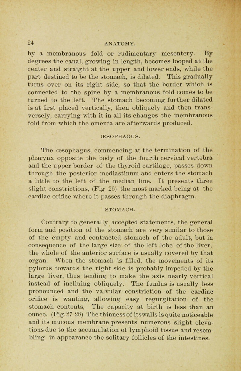 by a membranous fold or rudimentary mesentery. By degrees the canal, growing in length, becomes looped at the center and straight at the upper and lower ends, while the part destined to be the siomach, is dilated. This gradually turns over on its right side, so that the border which is connected to the spine by a membranous fold comes to be turned to the left. The stomach becoming fui-ther dilated is at first placed vertically, then obliquely and then trans- versely, carrying with it in all its changes the membranous fold from which the omenta are afterwards produced. OESOPHAGUS. The oesophagus, commencing at the termination of the pharynx opposite the body of the fourth cervical vertebra and the upper border of the thyroid cartilage, passes down through the posterior mediastinum and enters the stomach a little to the left of the median line. It presents three slight constrictions, (Fig 26) the most marked being at the cardiac orifice where it passes through the diaphragm. STOMACH. Contrary to generally accepted statements, the general form and position of the stomach are very similar to those of the empty and contracted stomach of the adult, but in consequence of the large size of the left lobe of the liver, the whole of the antei'ior surface is usually covered by that organ. When the stomach is filled, the movements of its pylorus towards the right side is probably impeded by the large liver, thus tending to make the axis nearly vertical instead of inclining obliquely. The fundus is usually less pronounced and the valvular constriction of the cardiac orifice is wanting, allowing easy regurgitation of the stomach contents, The capacity at birth is less than an ounce. (Fig.27-28) The thinnessofitswalls is quite noticeable and its mucous membrane presents numerous slight eleva- tions due to the accumulation of lymphoid tissue and resem- bling in appearance the solitary follicles of the intestines.