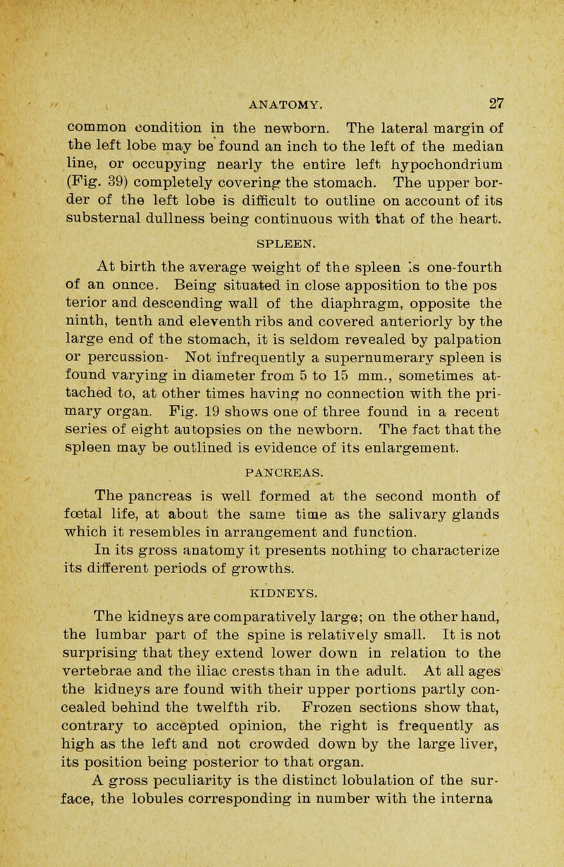 common condition in the newborn. The lateral margin of the left lobe may be found an inch to the left of the median line, or occupying nearly the entire left hypochondrium (Fig. 39) completely covering the stomach. The upper bor- der of the left lobe is difficult to outline on account of its substernal dullness being continuous with that of the heart. SPLEEN. At birth the average weight of the spleen Is one-fourth of an ounce. Being situated in close apposition to the pos terior and descending wall of the diaphragm, opposite the ninth, tenth and eleventh ribs and covered anteriorly by the large end of the stomach, it is seldom revealed by palpation or percussion- Not infrequently a supernumerary spleen is found varying in diameter from 5 to 15 mm., sometimes at- tached to, at other times having no connection with the pri- mary organ. Pig. 19 shows one of three found in a recent series of eight autopsies on the newborn. The fact that the spleen may be outlined is evidence of its enlargement. PANCREAS. The pancreas is well formed at the second month of foetal life, at about the same time as the salivary glands which it resembles in arrangement and function. In its gross anatomy it presents nothing to characterize its different periods of growths. KIDNEYS. The kidneys are comparatively large; on the other hand, the lumbar part of the spine is relatively small. It is not surprising that they extend lower down in relation to the vertebrae and the iliac crests than in the adult. At all ages the kidneys are found with their upper portions partly con- cealed behind the twelfth rib. Frozen sections show that, contrary to accepted opinion, the right is frequently as high as the left and not crowded down by the large liver, its position being posterior to that organ. A gross peculiarity is the distinct lobulation of the sur- face, the lobules corresponding in number with the interna