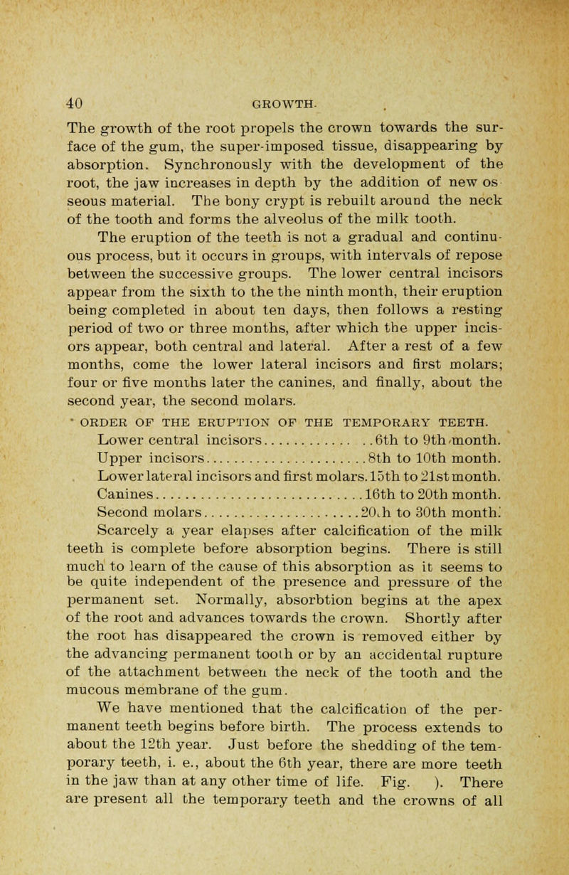 The growth of the root propels the crown towards the sur- face of the gum, the super-imposed tissue, disappearing by absorption. Synchronously with the development of the root, the jaw increases in depth by the addition of new os seous material. The bony crypt is rebuilt around the neck of the tooth and forms the alveolus of the milk tooth. The eruption of the teeth is not a gradual and continu- ous process, but it occurs in groups, with intervals of repose between the successive groups. The lower central incisors appear from the sixth to the the ninth month, their eruption being completed in about ten days, then follows a resting period of two or three months, after which the upper incis- ors appear, both central and lateral. After a rest of a few months, come the lower lateral incisors and first molars; four or five months later the canines, and finally, about the second year, the second molars. • ORDER OF THE ERUPTION OF THE TEMPORARY TEETH. Lower central incisors 6th to 9th-month. Upper incisors 8th to 10th month. Lower lateral incisors and first molars, loth to 21st month. Canines 16th to 20th month. Second molars 20Lh to 30th month! Scarcely a year elapses after calcification of the milk teeth is complete before absorption begins. There is still much to learn of the cause of this absorption as it seems to be quite independent of the presence and pressure of the permanent set. Normally, absorbtion begins at the apex of the root and advances towards the crown. Shortly after the root has disappeared the crown is removed either by the advancing jjermanent tooth or by an accidental rupture of the attachment between the neck of the tooth and the mucous membrane of the gum. We have mentioned that the calcification of the per- manent teeth begins before birth. The process extends to about the 12th year. Just before the shedding of the tem- porary teeth, i. e., about the 6th year, there are more teeth in the jaw than at any other time of life. Fig. ). There are present all the temporary teeth and the crowns of all