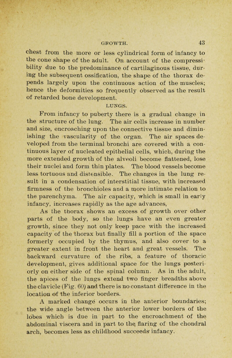 chest from the more or less cylindrical form of infancy to the cone shape of the adult. On account of the compressi- bility due to the predominance of cartilaginous tissue, dur- ing the subsequent ossification, the shape of the thorax de- pends largely upon the continuous action of the muscles; hence the deformities so frequently observed as the result of retarded bone development. LUNGS. From infancy to puberty there is a gradual change in the structure of the lung. The air cells increase in number and size, encroaching upon the connective tissue and dimin- ishing the vascularity of the organ. The air spaces de- veloped from the terminal bronchi are covered with a con- tinuous layer of nucleated epithelial cells, which, during the more extended growth of the alveoli become flattened, lose their nuclei and form thin plates. The blood vessels become less tortuous and distensible. The changes in the lung re- sult in a condensation of interstitial tissue, with increased firmness of the bronchioles and a more intimate relation to the parenchyma. The air capacity, which is small in early infancy, increases rapidly as the age advances. As the thorax shows an excess of growth over other parts of the body, so the lungs have an even greater growth, since they not only keep pace with the increased capacity of the thorax but finally fill a portion of the space formerly occupied by the thymus, and also cover to a greater extent in front the heart and great vessels. The backward curvature of the ribs, a feature of thoracic development, gives additional space for the lungs posteri- orly on either side of the spinal column. As in the adult, the apices of the lungs extend two finger breadths above the clavicle (Pig. 60) and there is no constant difference in the location of the inferior borders. A marked change occurs in the anterior boundaries; the wide angle between the anterior lower borders of the lobes which is due in part to the encroachment of the abdominal viscera and in part to the flaring of the chondral arch, becomes less as childhood succeeds infancy.