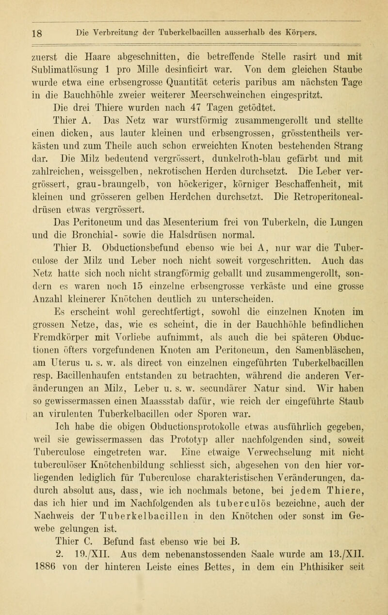 zuerst die Haare abgeschnitten, die betreffende Stelle rasirt und mit Sublimatlösung 1 pro Mille desinficirt war. Von dem gleichen Staube wurde etwa eine erbsengrosse Quantität ceteris paribus am nächsten Tage in die Bauchhöhle zweier weiterer Meerschweinchen eingespritzt. Die drei Thiere wurden nach 47 Tagen getödtet. Thier A. Das Netz war wurstförmig zusammengerollt und stellte einen dicken, aus lauter kleinen und erbsengrossen, grösstentheils ver- kästen und zum Theile auch schon erweichten Knoten bestehenden Strang dar. Die Milz bedeutend vergrössert, dunkelroth-blau gefärbt und mit zahlreichen, weissgelben, nekrotischen Herden durchsetzt. Die Leber ver- grössert, grau-braungelb, von höckeriger, körniger Beschaffenheit, mit kleinen und grösseren gelben Herdchen durchsetzt. Die Ketroperitoneal- drüsen etwas vergrössert. Das Peritoneum und das Mesenterium frei von Tuberkeln, die Lungen und die Bronchial- sowie die Halsdrüsen normal. Thier B. Obductionsbefund ebenso wie bei A, nur war die Tuber- culose der Milz und Leber noch nicht soweit vorgeschritten. Auch das Netz hatte sich noch nicht strangförmig geballt und zusammengerollt, son- dern es waren noch 15 einzelne erbsengrosse verkäste und eine grosse Anzahl kleinerer Knötchen deutlich zu unterscheiden. Es erscheint wohl gerechtfertigt, sowohl die einzelnen Knoten im grossen Netze, das, wie es scheint, die in der Bauchhöhle befindlichen Fremdkörper mit Vorliebe aufnimmt, als auch die bei späteren Obduc- tionen öfters vorgefundenen Knoten am Peritoneum, den Samenbläschen, am Uterus u. s. w. als direct von einzelnen eingeführten Tuberkelbacillen resp. Bacillenhaufen entstanden zu betrachten, während die anderen Ver- änderungen an Milz, Leber u. s. w. secundärer Natur sind. Wir haben so gewissermassen einen Maassstab dafür, wie reich der eingeführte Staub an virulenten Tuberkelbacillen oder Sporen war. Ich habe die obigen Obductionsprotokolle etwas ausführlich gegeben, weil sie gewissermassen das Prototyp aller nachfolgenden sind, soweit Tuberculose eingetreten war. Eine etwaige Verwechselung mit nicht tuberculöser Knötchenbildung schliesst sich, abgesehen von den hier vor- liegenden lediglich für Tuberculose charakteristischen Veränderungen, da- durch absolut aus, dass, wie ich nochmals betone, bei jedem Thiere, das ich hier und im Nachfolgenden als tuberculös bezeichne, auch der Nachweis der Tuberkelbacillen in den Knötchen oder sonst im Ge- webe gelungen ist. Thier C. Befund fast ebenso wie bei B. 2. 19./XII. Aus dem nebenanstossenden Saale wurde am 13./XII. 1886 von der hinteren Leiste eines Bettes, in dem ein Phthisiker seit