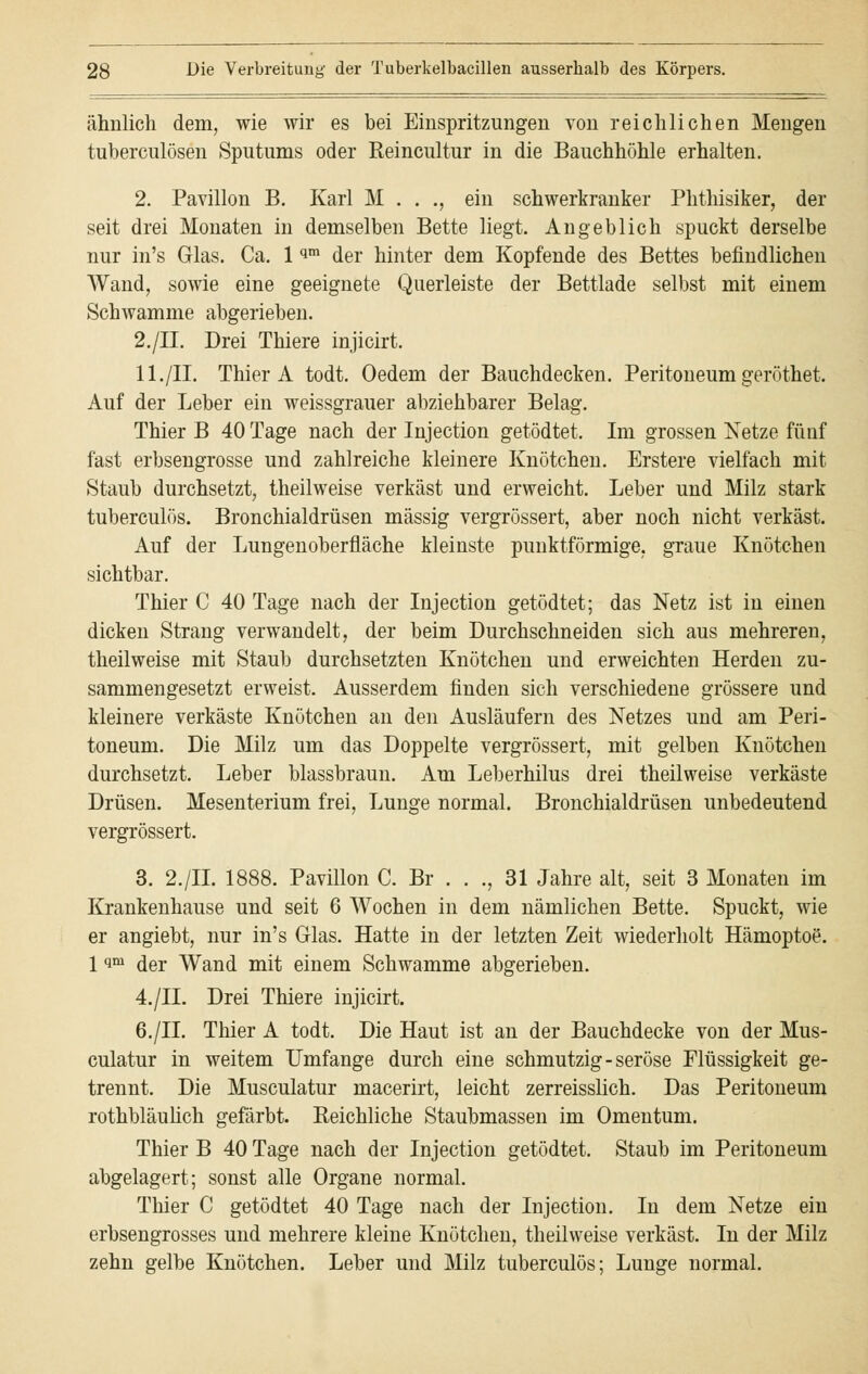 ähnlich dem, wie wir es bei Einspritzungen von reichlichen Mengen tuberculösen Sputums oder Reincultur in die Bauchhöhle erhalten. 2. Pavillon B. Karl M . . ., ein schwerkranker Phthisiker, der seit drei Monaten in demselben Bette liegt. Angeblich spuckt derselbe nur in's Glas. Ca. 1 qm der hinter dem Kopfende des Bettes befindlichen Wand, sowie eine geeignete Querleiste der Bettlade selbst mit einem Schwämme abgerieben. 2./II. Drei Thiere injicirt. 11./IL Thier A todt. Oedem der Bauchdecken. Peritoneum geröthet. Auf der Leber ein weissgrauer abziehbarer Belag. Thier B 40 Tage nach der Injection getödtet. Im grossen Netze fünf fast erbsengrosse und zahlreiche kleinere Knötchen. Erstere vielfach mit Staub durchsetzt, theilweise verkäst und erweicht. Leber und Milz stark tuberculös. Bronchialdrüsen massig vergrössert, aber noch nicht verkäst. Auf der Lungenoberfläche kleinste punktförmige, graue Knötchen sichtbar. Thier C 40 Tage nach der Injection getödtet; das Netz ist in einen dicken Strang verwandelt, der beim Durchschneiden sich aus mehreren, theilweise mit Staub durchsetzten Knötchen und erweichten Herden zu- sammengesetzt erweist. Ausserdem finden sich verschiedene grössere und kleinere verkäste Knötchen an den Ausläufern des Netzes und am Peri- toneum. Die Milz um das Doppelte vergrössert, mit gelben Knötchen durchsetzt. Leber blassbraun. Am Leberhilus drei theilweise verkäste Drüsen. Mesenterium frei, Lunge normal. Bronchialdrüsen unbedeutend vergrössert. 3. 2./IL 1888. Pavillon C. Br . . ., 31 Jahre alt, seit 3 Monaten im Krankenhause und seit 6 Wochen in dem nämlichen Bette. Spuckt, wie er angiebt, nur in's Glas. Hatte in der letzten Zeit wiederholt Hämoptoe. 1 im der Wand mit einem Schwämme abgerieben. 4./IL Drei Thiere injicirt. 6./IL Thier A todt. Die Haut ist an der Bauchdecke von der Mus- culatur in weitem Umfange durch eine schmutzig-seröse Flüssigkeit ge- trennt. Die Musculatur macerirt, leicht zerreisslich. Das Peritoneum rothbläulich gefärbt. Reichliche Staubmassen im Omentum. Thier B 40 Tage nach der Injection getödtet. Staub im Peritoneum abgelagert; sonst alle Organe normal. Thier C getödtet 40 Tage nach der Injection. In dem Netze ein erbsengrosses und mehrere kleine Knötchen, theilweise verkäst. In der Milz zehn gelbe Knötchen. Leber und Milz tuberculös; Lunge normal.