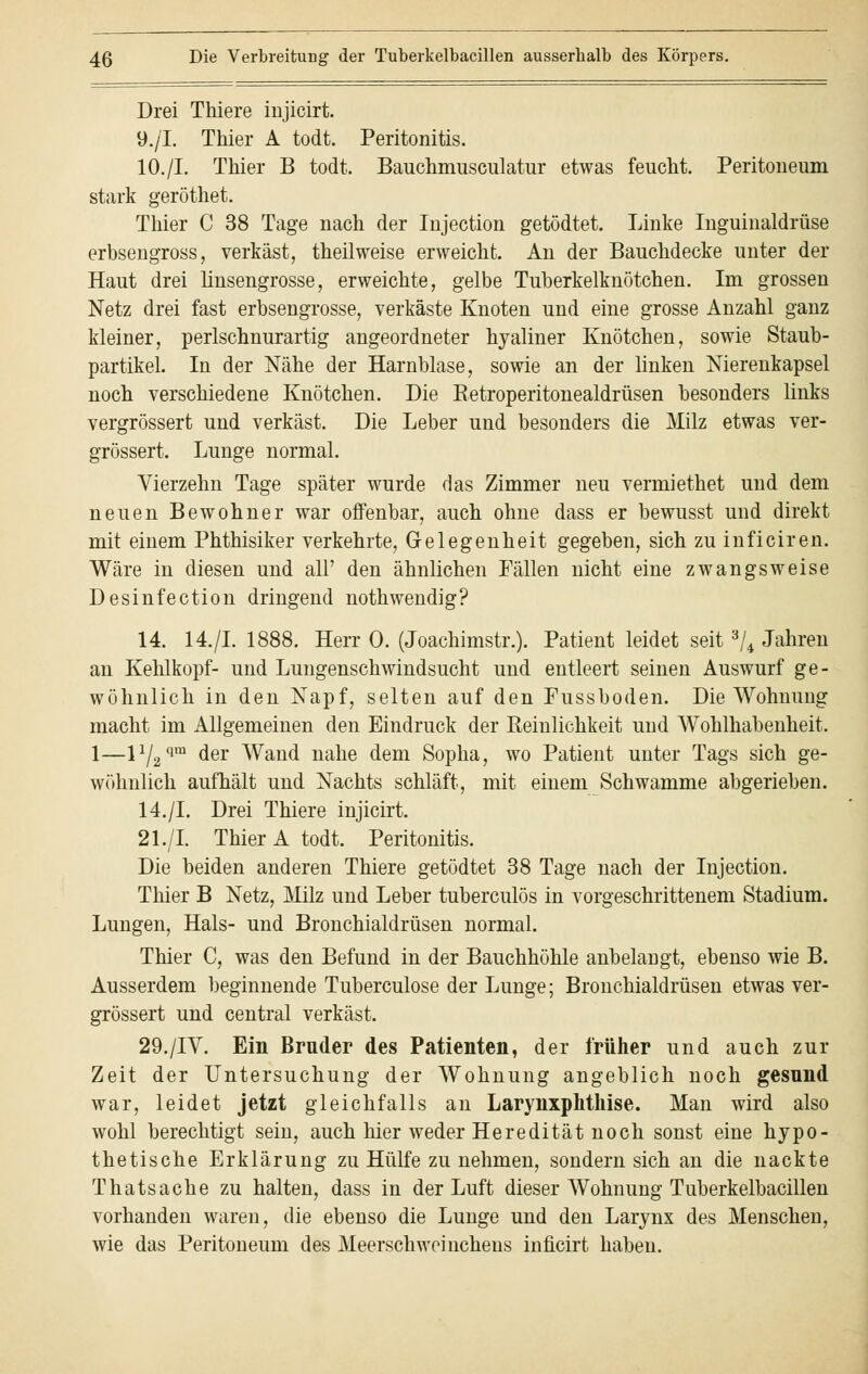 Drei Thiere injicirt. 9./I. Thier A todt. Peritonitis. 10./I. Thier B todt. Bauchmusculatur etwas feucht. Peritoneum stark geröthet. Thier C 38 Tage nach der Injection getödtet. Linke Inguinaldrüse erbsengross, verkäst, theilweise erweicht. An der Bauchdecke unter der Haut drei linsengrosse, erweichte, gelbe Tuberkelknötchen. Im grossen Netz drei fast erbsengrosse, verkäste Knoten und eine grosse Anzahl ganz kleiner, perlschnurartig angeordneter hyaliner Knötchen, sowie Staub- partikel. In der Nähe der Harnblase, sowie an der linken Nierenkapsel noch verschiedene Knötchen. Die Betroperitonealdrüsen besonders links vergrössert und verkäst. Die Leber und besonders die Milz etwas ver- grössert. Lunge normal. Vierzehn Tage später wurde das Zimmer neu vermiethet und dem neuen Bewohner war offenbar, auch ohne dass er bewusst und direkt mit einem Phthisiker verkehrte, Gelegenheit gegeben, sich zu inficiren. Wäre in diesen und all' den ähnlichen Fällen nicht eine zwangsweise Desinfection dringend nothwendig? 14. 14./I. 1888. Herr 0. (Joachimstr.). Patient leidet seit 3/4 Jahren an Kehlkopf- und Lungenschwindsucht und entleert seinen Auswurf ge- wöhnlich in den Napf, selten auf den Pussboden. Die Wohnung macht im Allgemeinen den Eindruck der Reinlichkeit und Wohlhabenheit. 1—P/2qm der Wand nahe dem Sopha, wo Patient unter Tags sich ge- wöhnlich, aufhält und Nachts schläft, mit einem Schwämme abgerieben. 14./I. Drei Thiere injicirt. 21./I. Thier A todt. Peritonitis. Die beiden anderen Thiere getödtet 38 Tage nach der Injection. Thier B Netz, Milz und Leber tuberculös in vorgeschrittenem Stadium. Lungen, Hals- und Bronchialdrüsen normal. Thier C, was den Befund in der Bauchhöhle anbelangt, ebenso wie B. Ausserdem beginnende Tuberculose der Lunge; Bronchialdrüsen etwas ver- grössert und central verkäst. 29./IV. Ein Bruder des Patienten, der früher und auch zur Zeit der Untersuchung der Wohnung angeblich noch gesund war, leidet jetzt gleichfalls an Larynxphtkise. Man wird also wohl berechtigt sein, auch hier weder Heredität noch sonst eine hypo- thetische Erklärung zu Hülfe zu nehmen, sondern sich an die nackte Thatsache zu halten, dass in der Luft dieser Wohnung Tuberkelbacillen vorhanden waren, die ebenso die Lunge und den Larynx des Menschen, wie das Peritoneum des Meerschweinchens inficirt haben.