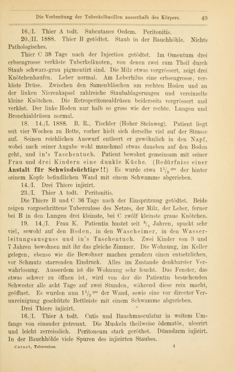 16./I. Thier A todt. Subcutanes Oedem. Peritonitis. 20./II. 1888. Thier B getödtet. Staub in der Bauchhöhle. Nichts Pathologisches. Thier C 38 Tage nach der Injection getödtet. Im Omentum drei erbsengrosse verkäste Tuberkelknoten, von denen zwei zum Theil durch Staub schwarz-grau pigmentirt sind. Die Milz etwas vergrössert. zeigt drei Knötchenhaufen. Leber normal. Am Leberhilus eine erbsengrosse, ver- käste Drüse. Zwischen den Samenbläschen am rechten Hoden und an der linken Merenkapsel zahlreiche Staubablagerungen und vereinzelte kleine Knötchen. Die Retroperitonealdrüsen beiderseits vergrössert und verkäst. Der linke Hoden nur halb so gross wie der rechte. Lungen und Bronchialdrüsen normal. 18. 14./L 1888. B. R.. Tischler (Hoher Steinweg). Patient liegt seit vier Wochen zu Bette, vorher hielt sich derselbe viel auf der Strasse auf. Seinen reichlichen Auswurf entleert er gewöhnlich in den Napf, wobei nach seiner Angabe wohl manchmal etwas daneben auf den Boden geht, und in's Taschentuch. Patient bewohnt gemeinsam mit seiner Frau und drei Kindern eine dunkle Küche. (Bedürfniss einer Anstalt für Schwindsüchtige!!) Es wurde etwa lV2qm der hinter seinem Kopfe befindlichen Wand mit einem Schwämme abgerieben. 14./I. Drei Thiere injicirt. 23./I. Thier A todt. Peritonitis. Die Thiere B und C 36 Tage nach der Einspritzung getödtet. Beide zeigen vorgeschrittene Tuberculose des Netzes, der Milz, der Leber, ferner bei B in den Lungen drei kleinste, bei C zwölf kleinste graue Knötchen. 19. 14./I. Frau K. Patientin hustet seit 3/i Jahren, spuckt sehr viel, sowohl auf den Boden, in den Wascheimer, in den Wasser- leitungsausguss und in's Taschentuch. Zwei Kinder von 3 und 7 Jahren bewohnen mit ihr das gleiche Zimmer. Die Wohnung, im Keller gelegen, ebenso wie die Bewohner machen geradezu einen entsetzlichen, vor Schmutz starrenden Eindruck. Alles im Zustande denkbarster Ver- wahrlosung. Ausserdem ist die Wohnung sehr feucht. Das Fenster, das etwas schwer zu öffnen ist, wird von der die Patientin besuchenden Schwester alle acht Tage auf zwei Stunden, während diese rein macht, geöffnet. Es wurden nun 11/2 qm der Wand, sowie eine vor directer Ver- unreinigung geschützte Bettleiste mit einem Schwämme abgerieben. Drei Thiere injicirt. 16. I. Thier A todt. Cutis und Bauchmusculatur in weitem Um- fange von einander getrennt. Die Muskeln theilweise ödematös, ulcerirt und leicht zerreisslich. Peritoneum stark geröthet. Dünndarm injicirt. In der Bauchhöhle viele Spuren des injicirten Staubes. Cornet, Tuberculose. 4