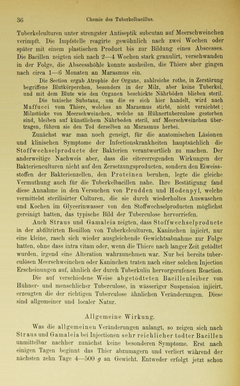 Tuberkelculturen unter strengster Antiseptik subcutan auf Meerschweinchen verimpft. Die Impfstelle reagirte gewöhnlich nach zwei Wochen oder später mit einem plastischen Product bis zur Bildung eines Abscesses. Die Bacillen zeigten sich nach 2—4 Wochen stark granulirt, verschwanden in der Folge, die Abscesshöhle konnte ausheilen, die Thiere aber gingen nach circa 1—6 Monaten an Marasmus ein. Die Section ergab Atrophie der Organe, zahlreiche rothe, in Zerstörung begriffene Blutkörperchen, besonders in der Milz, aber keine Tuberkel, und mit dem Blute wie den Organen beschickte Nährböden blieben steril. Die toxische Substanz, um die es sich hier handelt, wird nach Maffucci vom Thiere, welches an Marasmus stirbt, nicht vernichtet; Milzstiicke von Meerschweinchen, welche an Hühnertuberculose gestorben sind, bleiben auf künstlichem Nährboden steril, auf Meerschweinchen über- tragen, führen sie den Tod derselben an Marasmus herbei. Zunächst war man noch geneigt, für die anatomischen Läsionen und klinischen Symptome der Infectionskrankheiten hauptsächlich die Stoffwechselproducte der Bakterien verantwortlich zu machen. Der anderweitige Nachweis aber, dass die eitererregenden Wirkungen der Bakterienculturen nicht auf den Zersetzungsproducten, sondern den Eiweiss- stoffen der Bakterienzellen, den Proteinen beruhen, legte die gleiche Vermuthung auch für die Tuberkelbacillen nahe. Ihre Bestätigung fand diese Annahme in den Versuchen von Prudden und Hodenpyl, welche vermittelst sterilisirter Gulturen, die sie durch wiederholtes Auswaschen und Kochen im Glycerinwasser von den Stoffwechselproducten möglichst gereinigt hatten, das typische Bild der Tuberculose hervorriefen. Auch Straus und Gamaleia zeigten, dass Stoffwechselproducte in der abfiltrirten Bouillon von Tuberkelculturen, Kaninchen injicirt, nur eine kleine, rasch sich wieder ausgleichende Gewichtsabnahme zur Folge hatten, ohne dass intra vitam oder, wenn die Thiere nach langer Zeit getödtet wurden, irgend eine Alteration wahrzunehmen war. Nur bei bereits tuber- culösen Meerschweinchen oder Kaninehen traten nach einer solchen Injection Erscheinungen auf, ähnlich der durch Tuberkulin hervorgerufenen Beaction. Die auf verschiedene Weise abgetödteten Bacillenleiber von Hühner- und menschlicher Tuberculose, in wässeriger Suspension injicirt, erzeugten die der richtigen Tuberculose ähnlichen Veränderungen. Diese sind allgemeiner und localer Natur. Allgemeine Wirkung. Was die allgemeinen Veränderungen anlangt, so zeigen sich nach Straus und Gamaleia bei Injectionen sehr reichlicher todter Bacillen unmittelbar nachher zunächst keine besonderen Symptome. Erst nach einigen Tagen beginnt das Thier abzumagern und verliert während der nächsten zehn Tage 4—500 g an Gewicht. Entweder erfolgt jetzt schon