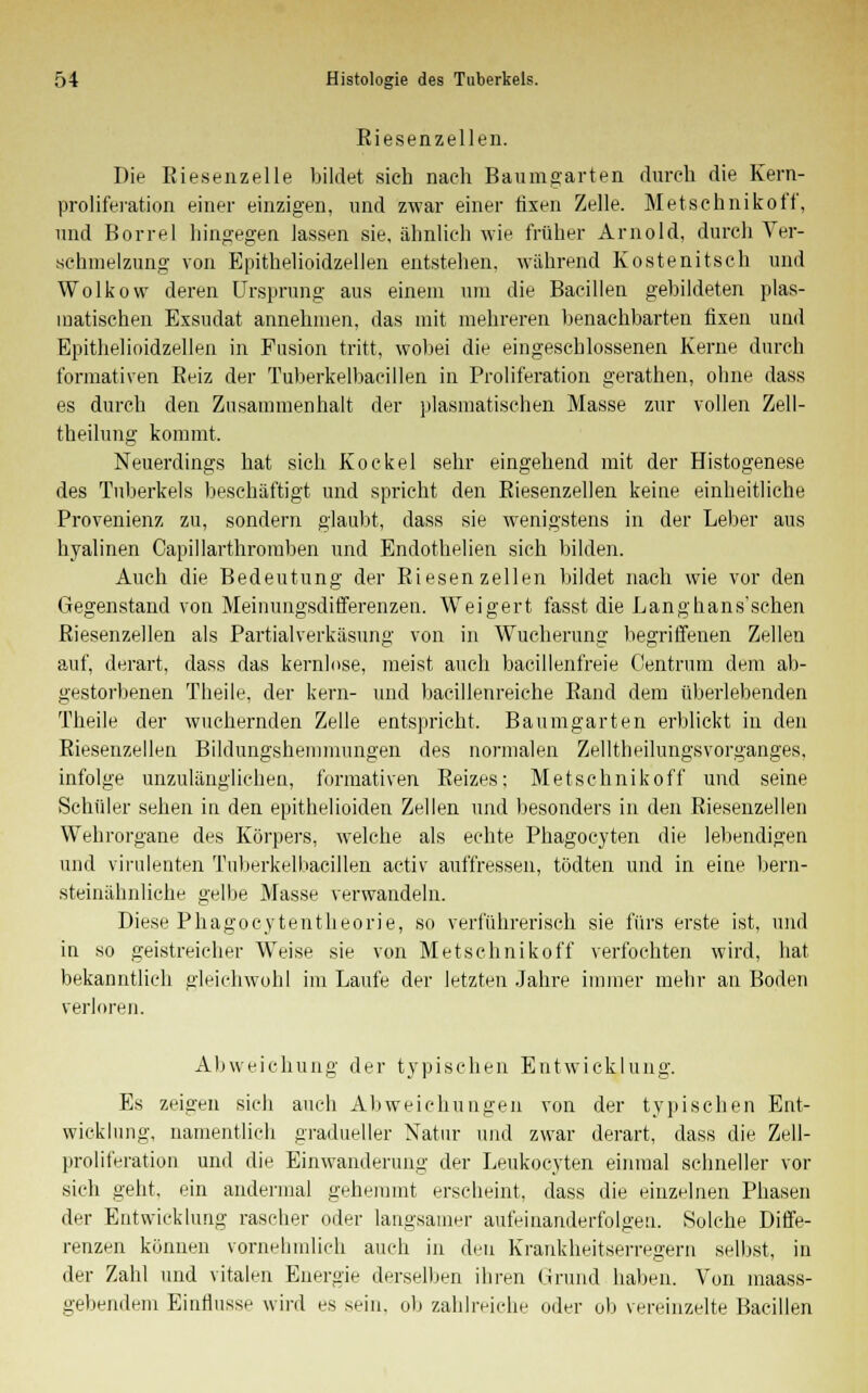 Kiesenzellen. Die Kiesenzelle bildet sieh nach Baumgarten durch die Kern- proliferation einer einzigen, und zwar einer fixen Zelle. Metschnikoff, und Borrel hingegen lassen sie, ähnlich wie früher Arnold, durch Ver- schmelzung von Epithelioidzellen entstehen, während Kostenitsch und Wolkow deren Ursprung aus einem um die Bacillen gebildeten plas- matischen Exsudat annehmen, das mit mehreren benachbarten fixen und Epithelioidzellen in Fusion tritt, wobei die eingeschlossenen Kerne durch formativen Beiz der Tuberkelbacillen in Proliferation gerathen, ohne dass es durch den Zusammenhalt der plasmatischen Masse zur vollen Zell- theilung kommt. Neuerdings hat sich Kockel sehr eingehend mit der Histogenese des Tuberkels beschäftigt und spricht den Riesenzellen keine einheitliche Provenienz zu, sondern glaubt, dass sie wenigstens in der Leber aus hyalinen Capillarthromben und Endothelien sich bilden. Auch die Bedeutung der Kiesenzellen bildet nach wie vor den Gegenstand von Meinungsdifferenzen. Weigert fasst die Langhans'schen Riesenzellen als Partialverkäsung von in Wucherung begriffenen Zellen auf, derart, dass das kernlose, meist auch bacillenfreie Centrum dem ab- gestorbenen Theile, der kern- und bacillenreiehe Rand dem überlebenden Theile der wuchernden Zelle entspricht. Baumgarten erblickt in den Riesenzellen Bildungshemmungen des normalen Zelltheilungsvorganges, infolge unzulänglichen, formativen Reizes; Metschnikoff und seine Schüler sehen in den epithelioiden Zellen und besonders in den Riesenzellen Wehrorgane des Körpers, welche als echte Phagocyten die lebendigen und virulenten Tuberkelbacillen activ auffressen, tödten und in eine bern- steinähnliche gelbe Masse verwandeln. Diese Phagocytentheorie, so verführerisch sie fürs erste ist, und in so geistreicher Weise sie von Metschnikoff verfochten wird, hat bekanntlieh gleichwohl im Laufe der letzten Jahre immer mehr an Boden verloren. Abweichung der typischen Entwicklung. Es zeigen sich auch Abweichungen von der typischen Ent- wicklung, namentlich gradueller Natur und zwar derart, dass die Zell- proliferation und die Einwanderung der Leukocyten einmal schneller vor sich geht, ein andermal gehemmt erscheint, dass die einzelnen Phasen der Entwicklung rascher oder langsamer aufeinanderfolgen. Solche Diffe- renzen können vornehmlich auch in den Krankheitserregern selbst, in der Zahl und vitalen Energie derselben ihren Grund haben. Von maass- gebendem Einflüsse wird es sein, ob zahlreiche oder ob vereinzelte Bacillen