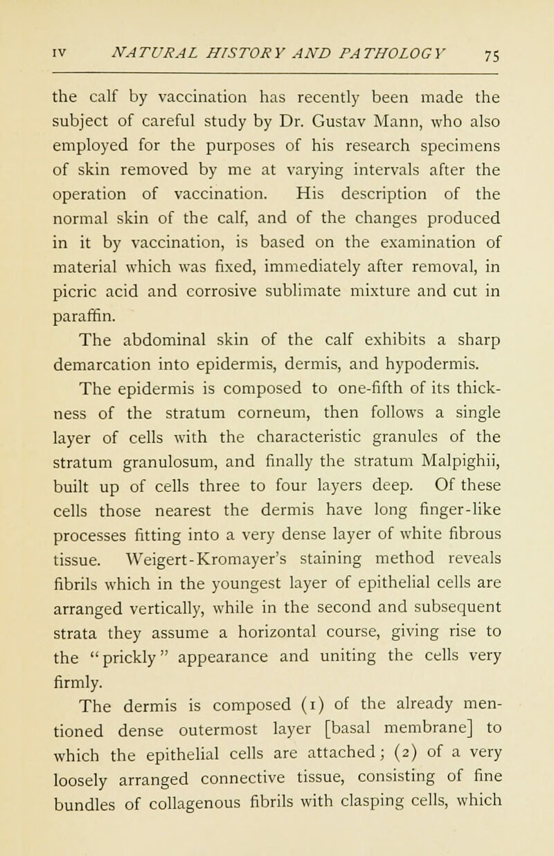 the calf by vaccination has recently been made the subject of careful study by Dr. Gustav Mann, who also employed for the purposes of his research specimens of skin removed by me at varying intervals after the operation of vaccination. His description of the normal skin of the calf, and of the changes produced in it by vaccination, is based on the examination of material which was fixed, immediately after removal, in picric acid and corrosive sublimate mixture and cut in paraffin. The abdominal skin of the calf exhibits a sharp demarcation into epidermis, dermis, and hypodermis. The epidermis is composed to one-fifth of its thick- ness of the stratum corneum, then follows a single layer of cells with the characteristic granules of the stratum granulosum, and finally the stratum Malpighii, built up of cells three to four layers deep. Of these cells those nearest the dermis have long finger-like processes fitting into a very dense layer of white fibrous tissue. Weigert-Kromayer's staining method reveals fibrils which in the youngest layer of epithelial cells are arranged vertically, while in the second and subsequent strata they assume a horizontal course, giving rise to the prickly appearance and uniting the cells very firmly. The dermis is composed (1) of the already men- tioned dense outermost layer [basal membrane] to which the epithelial cells are attached; (2) of a very loosely arranged connective tissue, consisting of fine bundles of collagenous fibrils with clasping cells, which