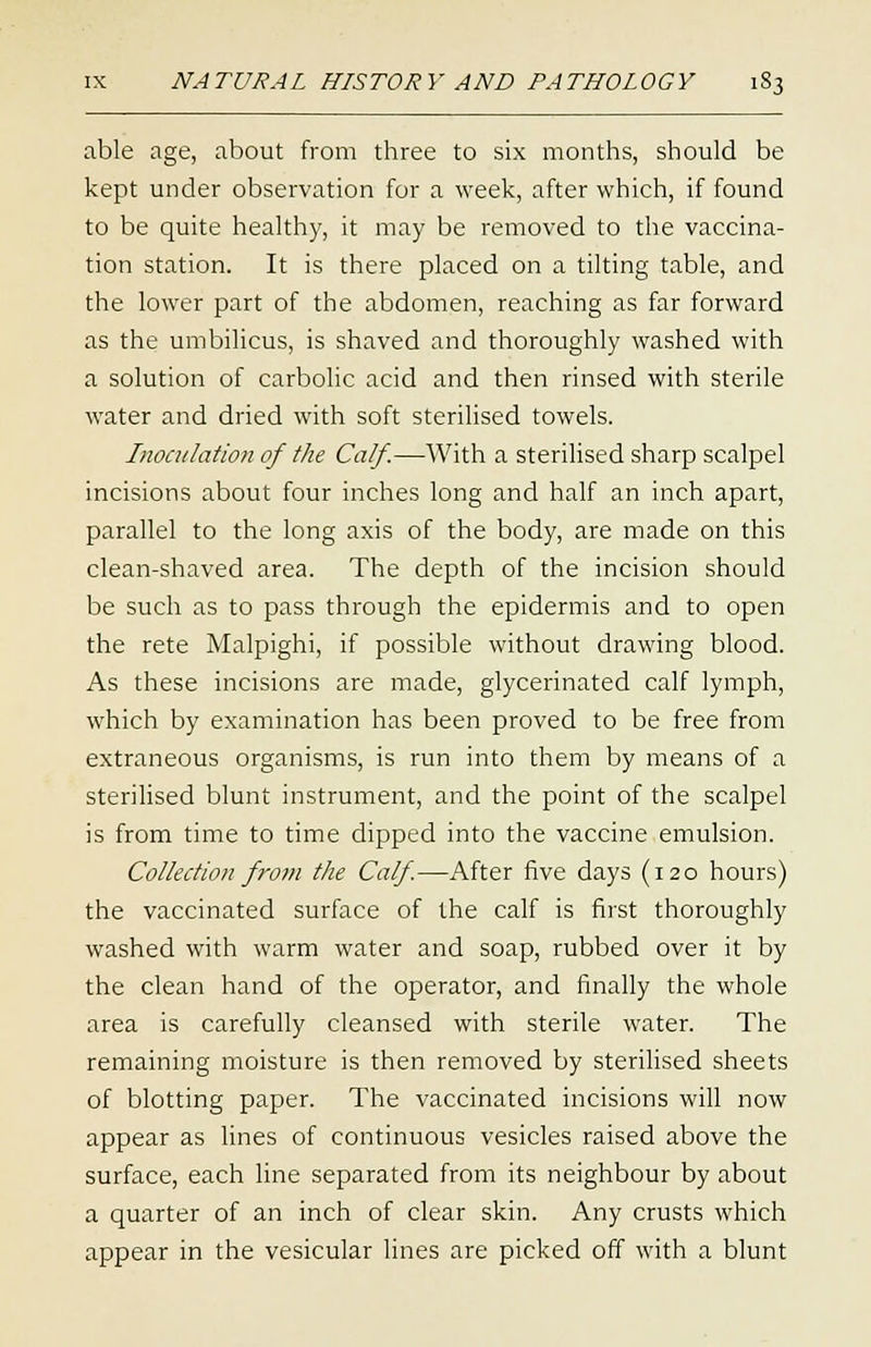 able age, about from three to six months, should be kept under observation for a week, after which, if found to be quite healthy, it may be removed to the vaccina- tion station. It is there placed on a tilting table, and the lower part of the abdomen, reaching as far forward as the umbilicus, is shaved and thoroughly washed with a solution of carbolic acid and then rinsed with sterile water and dried with soft sterilised towels. Inoculation of the Calf.—With a sterilised sharp scalpel incisions about four inches long and half an inch apart, parallel to the long axis of the body, are made on this clean-shaved area. The depth of the incision should be such as to pass through the epidermis and to open the rete Malpighi, if possible without drawing blood. As these incisions are made, glycerinated calf lymph, which by examination has been proved to be free from extraneous organisms, is run into them by means of a sterilised blunt instrument, and the point of the scalpel is from time to time dipped into the vaccine emulsion. Collection from the Calf.—After five days (120 hours) the vaccinated surface of the calf is first thoroughly washed with warm water and soap, rubbed over it by the clean hand of the operator, and finally the whole area is carefully cleansed with sterile water. The remaining moisture is then removed by sterilised sheets of blotting paper. The vaccinated incisions will now appear as lines of continuous vesicles raised above the surface, each line separated from its neighbour by about a quarter of an inch of clear skin. Any crusts which appear in the vesicular lines are picked off with a blunt