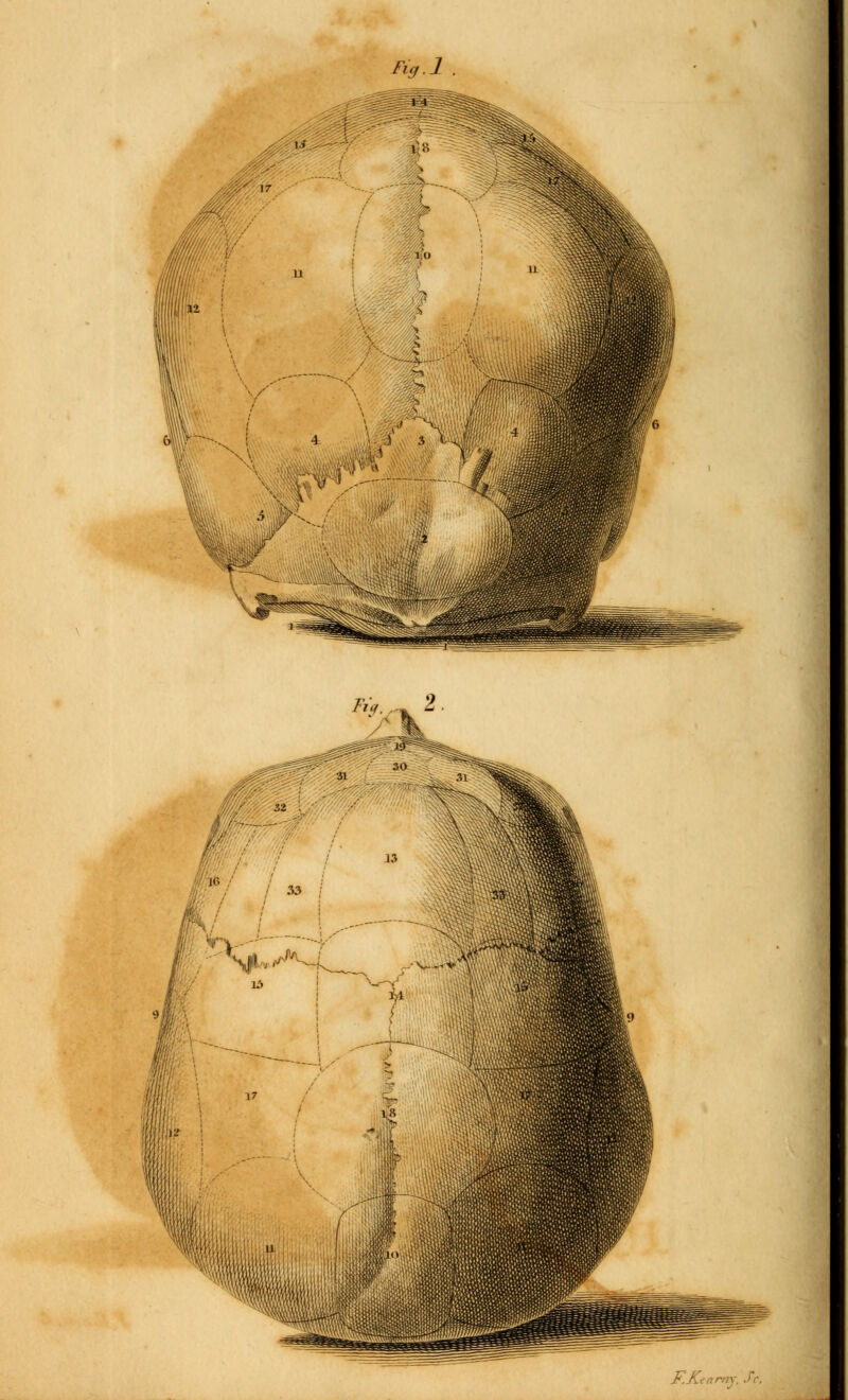 Tia.l . &r.~ 2 F.K,nr,n: Sc,