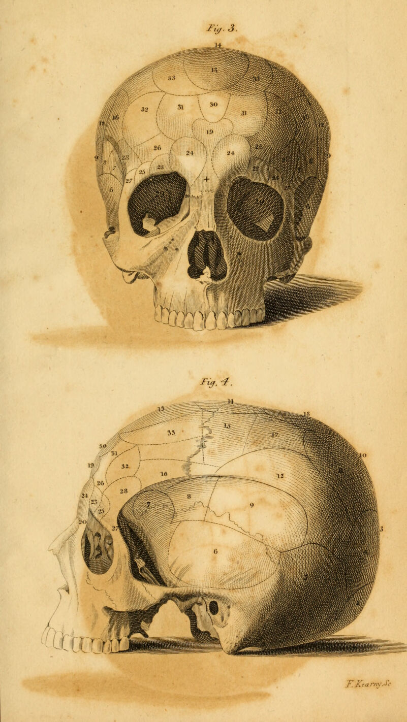 2-v. 3. tigjmg rv.4. F.KeaTnvJ'r