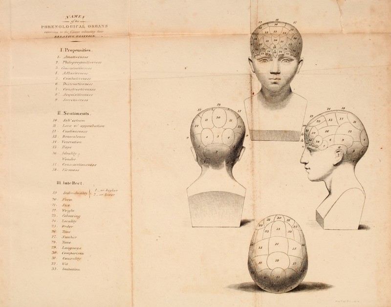 — _„/,/,,— OLOGICA^ O B ■ . ■ i i A/. / . I / /I / /■«■/ >/ TJO V. I . lYojXMlNllH'S /■ AmatCveness :>. Vhilo/Ltrotfautiv ■ '■ <;■„. ,,,,,<,,,..■..,.,■ /. ./r//u:r/rrnr,:,- Conibatix < new (! Dc.vtrucfirrt■/,;.:, 7 Coiu truettvenc 9 See, , '.< frit pj- II. Sentiments 10 Sell* esteem II A, ii/i/iro/'iina// I.J 7tenero7ence II ■ \'tiicrnluiii 15 Trope Id. TdetOitv Wonder 11 ■ C(>71S\ u-tilioilXlltW.V 18 ■ I 'irniuw.v Ml InteHeel i 20. /\,r„: -V. ,1V. r ■'■> ■ Weight 23. Colouring loeaMv 25. (>r,l,r 3*. iunr ?7. .Vmnber ?8. Tunc 9. I.(iai/u<ia f !U> Vcrtnpa/'ismn ■ I/- Ceusa7iff 3'J . H'ii 33 Imit/ttiu/: