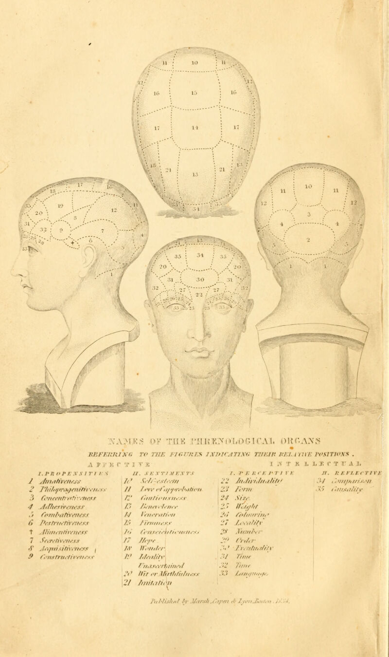 12« L6 15 \ l I I is '■ : ■■'. • ••! ; i- ■ 31 V ..-' •-, . - XA.MKS OF T.ELK I'M W K >' L061 CA I- DR'RANS JtEFERRING TO THE FIGURES INDICATING THEIR REL.l'tllE POSITIONS ,\ p v k (•;•! r e r. /•/.■  /• i. x .<■ /•/// V / JllhlhlithSS 2 /'lii/n/>r.h/niihi •■//.:r. t (,'iiri-nt:n'r .urss 4 Adhesiveness .'» fl'ln/'ilh\i'lli'XX 6 Ptstntrtn'ftiM.t t dNmrntiventss 7 Sf.r.livrnrss •V .Ir.fiu<iti\. nets ( .'/ Constructivri11\\ e 11. SEXTJJtEX rs A' Sefr-fsttvm // /»•/■<• i-t'ii/'f'/;•/'. ilicii /_ (•iiitii'iixmxx /.' //', /in • I,//,;■ // Veitcra/foti /.' / iriiiiirxx /'/ tfitxrtrliti, ■//a/i.-x.' /: //,■/ W ll'.'int.r I!1 Tdeality f'n.i.vi ■ifli linrif .'/' //// ,/• /A///,//////,:,.,• i .n r b i. l f. r t r .\ i. :v /. /■ /. i; i i. i- i i ii /',■)//1 Site ir,ff/'if //>///;//;it, ■ /....,///v A//;///'; r fn/.r /1, ittttttfitv 'f'init '//mi II. I: /■: ii 1 ill i / • '/ .'.i/iioi/nx.-ii '•'.' ilitiSiility /',, blish* //c. // irx/i., v,
