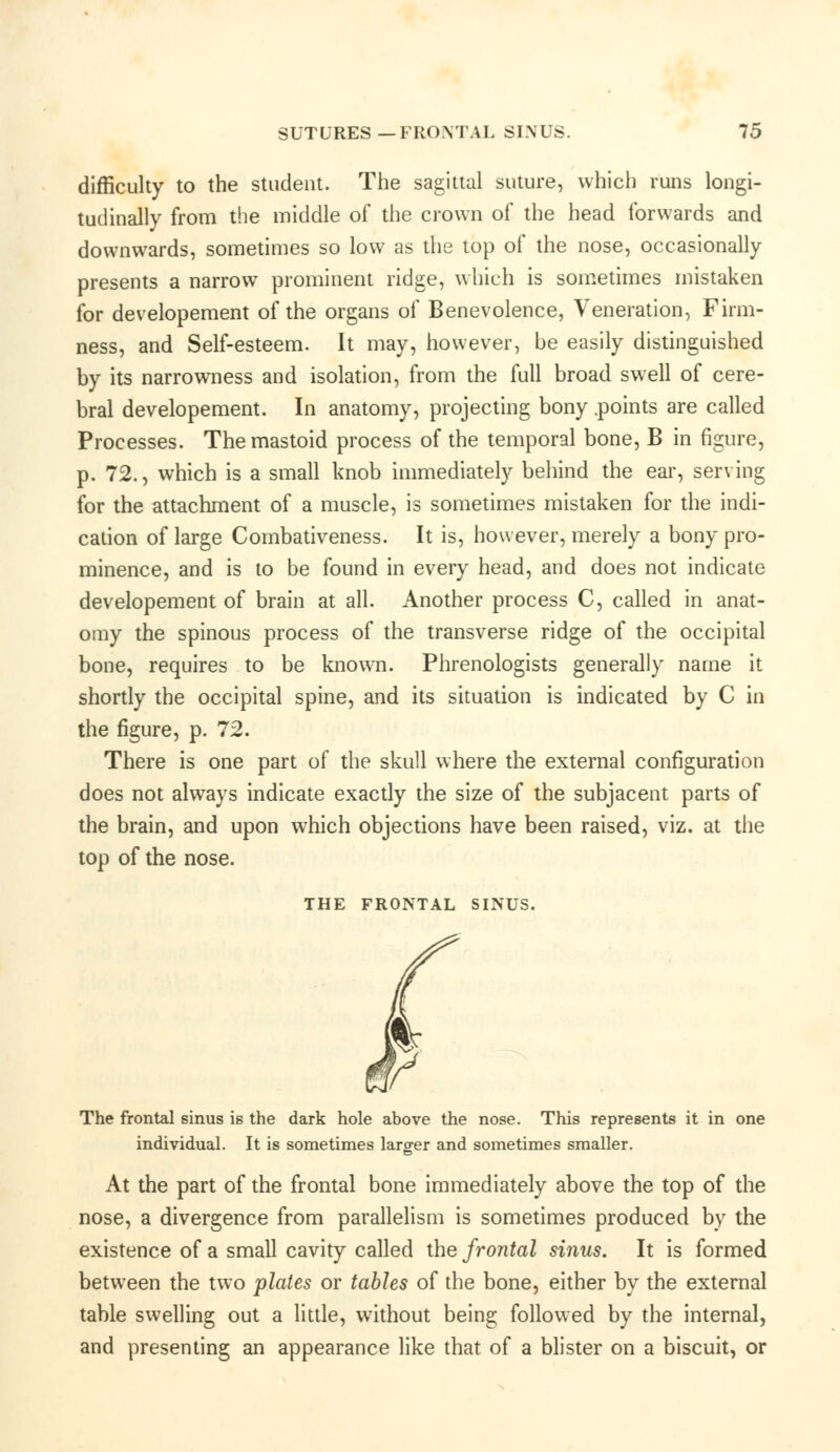SUTURES—FRONTAL SINUS. 15 difficulty to the student. The sagittal suture, which runs longi- tudinally from the middle of the crown of the head forwards and downwards, sometimes so low as the top of the nose, occasionally presents a narrow prominent ridge, which is sometimes mistaken for developement of the organs of Benevolence, Veneration, Firm- ness, and Self-esteem. It may, however, be easily distinguished by its narrowness and isolation, from the full broad swell of cere- bral developement. In anatomy, projecting bony .points are called Processes. The mastoid process of the temporal bone, B in figure, p. 72., which is a small knob immediately behind the ear, serving for the attachment of a muscle, is sometimes mistaken for the indi- cation of large Combativeness. It is, however, merely a bony pro- minence, and is to be found in every head, and does not indicate developement of brain at all. Another process C, called in anat- omy the spinous process of the transverse ridge of the occipital bone, requires to be known. Phrenologists generally name it shortly the occipital spine, and its situation is indicated by C in the figure, p. 72. There is one part of the skull where the external configuration does not always indicate exactly the size of the subjacent parts of the brain, and upon which objections have been raised, viz. at the top of the nose. THE FRONTAL SINUS. The frontal sinus is the dark hole above the nose. This represents it in one individual. It is sometimes larger and sometimes smaller. At the part of the frontal bone immediately above the top of the nose, a divergence from parallelism is sometimes produced by the existence of a small cavity called the frontal sinus. It is formed between the two plates or tables of the bone, either by the external table swelling out a little, without being followed by the internal, and presenting an appearance like that of a blister on a biscuit, or