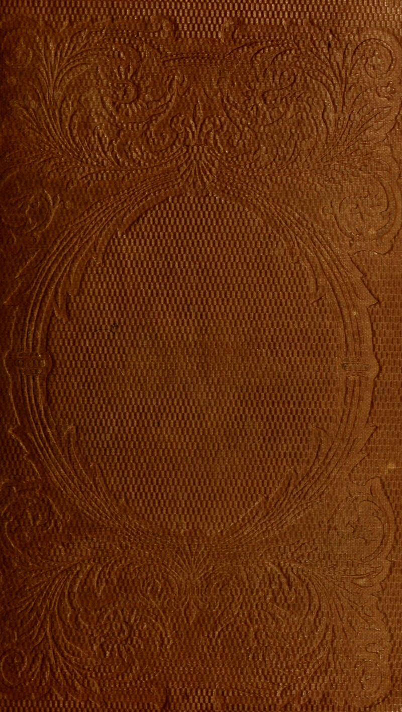 ■ami maammm mm ^mmmmn ■ • .v.v.v.'.v.v.v.m.