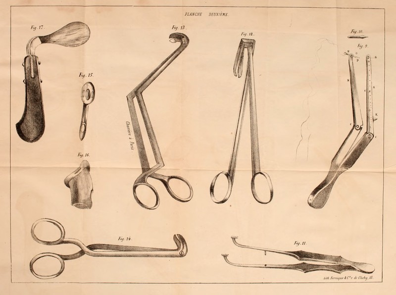 PLANCHE DEUXIEME. % .13. Fig.ii. Lilh Eernujlif âCr flr CUchij, 1.5