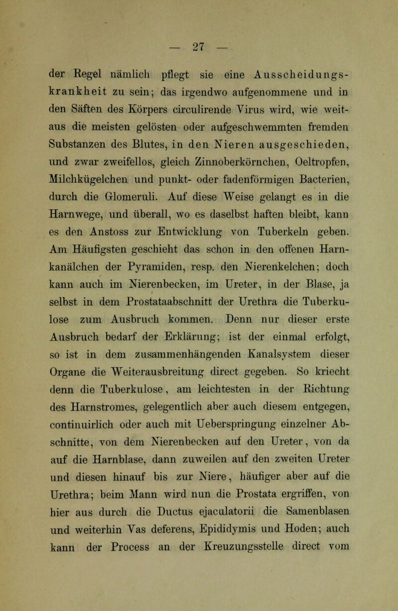 der Regel nämlich pflegt sie eine Ausscheidungs- krankheit zu sein; das irgendwo aufgenommene und in den Säften des Körpers circulirende Virus wird, wie weit- aus die meisten gelösten oder aufgeschwemmten fremden Substanzen des Blutes, in den Nieren ausgeschieden, und zwar zweifellos, gleich Zinnoberkörnchen, Oeltropfen, Milchkügelchen und puukt- oder fadenförmigen Bacterien, durch die Glomeruli. Auf diese Weise gelangt es in die Harnwege, und überall, wo es daselbst haften bleibt, kann es den Anstoss zur Entwicklung von Tuberkeln geben. Am Häufigsten geschieht das schon in den offenen Harn- kanälchen der Pyramiden, resp. den Nierenkelchen; doch kann auch im Nierenbecken, im Ureter, in der Blase, ja selbst in dem Prostataabschnitt der Urethra die Tuberku- lose zum Ausbruch kommen. Denn nur dieser erste Ausbruch bedarf der Erklärung; ist der einmal erfolgt, so ist in dem zusammenhängenden Kanalsystem dieser Organe die Weiterausbreitung direct gegeben. So kriecht denn die Tuberkulose, am leichtesten in der Richtung des Harnstromes, gelegentlich aber auch diesem entgegen, continuirlich oder auch mit Ueberspringung einzelner Ab- schnitte, von dem Nierenbecken auf den Ureter, von da auf die Harnblase, dann zuweilen auf den zweiten Ureter und diesen hinauf bis zur Niere, häufiger aber auf die Urethra; beim Mann wird nun die Prostata ergriffen, von hier aus durch die Ductus ejaculatorii die Samenblasen und weiterhin Vas deferens, Epididymis und Hoden; auch kann der Process an der Kreuzungsstelle direct vom