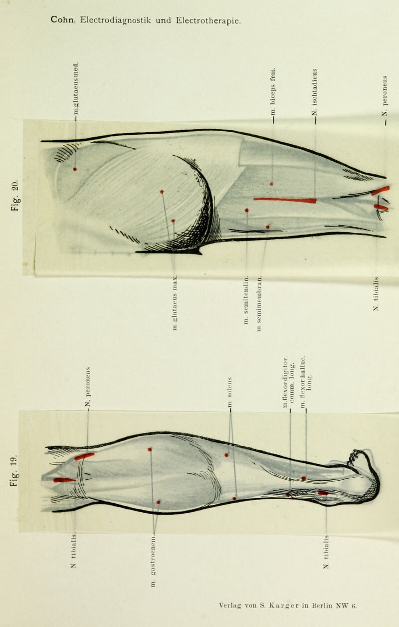 bp 03 bio 5>§ « -r- f -: S§ |5