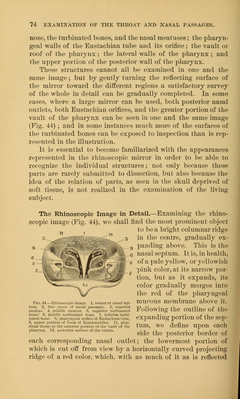 nose, the turbinated bones, and the nasal meatuses; the pharyn- geal walls of the Eustachian tube and its orifice; the vault or roof of the pharynx; the lateral walls of the pharynx ; and the upper portion of the posterior wall of the pharynx. These structures cannot all be examined in one and the same image; but by gently turning the reflecting surface of the mirror toward the different regions a satisfactory survey of the whole in detail can be gradually completed. In some cases, where a large mirror can be used, both posterior nasal outlets, both Eustachian orifices, and the greater portion of the vault of the pharynx can be seen in one and the same image (Fig. 44) ; and in some instances much more of the surfaces of the turbinated bones can be exposed to inspection than is rep- resented in the illustration. It is essential to become familiarized with the appearances represented in the rhinoscopic mirror in order to be able to recognize the individual structures; not only because these parts are rarely submitted to dissection, but also because the idea of the relation of parts, as seen in the skull deprived of soft tissue, is not realized in the examination of the living subject. The Rhinoscopic Image in Detail.—Examining the rhino- scopic image (Fig. 44), we shall find the most prominent object to be a bright columnar ridge in the centre, gradually ex- panding above. This is the nasal septum. It is, in health, of a pale yellow, or yellowish pink color, at its narrow por- tion, but as it expands, its color gradually merges into the red of the pharyngeal mucous membrane above it. Following the outline of the expanding portion of the sep- tum, we define upon each side the posterior border of each corresponding nasal outlet; the lowermost portion of which is cut off from view by a horizontally curved projecting ridge of a red color, which, with as much of it as is reflected Fig. 44.—Rhinoscopic image. 1, vomer or nasal sep- tum. 2, free space of nasal passages. 8. superior meatus. 4, middle meatus. 5, superior turbinated bone.' 6. middle turbinated bone. 7, inferior turbi- nated bone. 8, pharyngeal orifice of Eustachian tube. 9, upper portion of fossa of Rosenmueller. 11, glan- dular tissue at the anterior portion of the vault of the pharynx. 12, posterior surface of the velum.