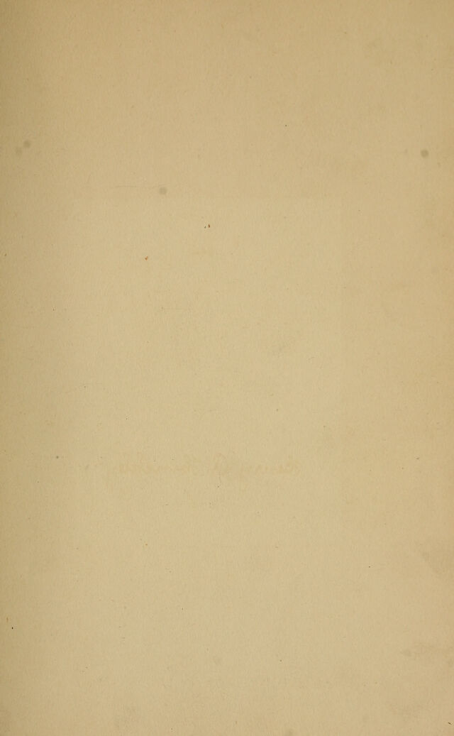 digitised image 3