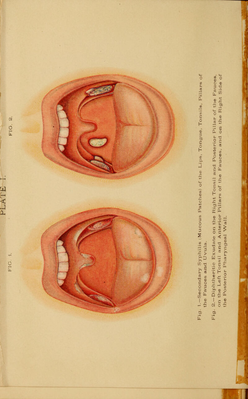 ■< 1 I If) 73 (0 o (1) 08 W) flJjH ■5 05 (D . 0 ® o T! « C It * 0) 05 +> c «~ 0 o H «, ^ s- 03- 5 s = ^ t, C8 C 2£ 0 c _ 0) < IS 5? ® x « £ W 3 cc a? r; ■§£! .S « o p ^ CL