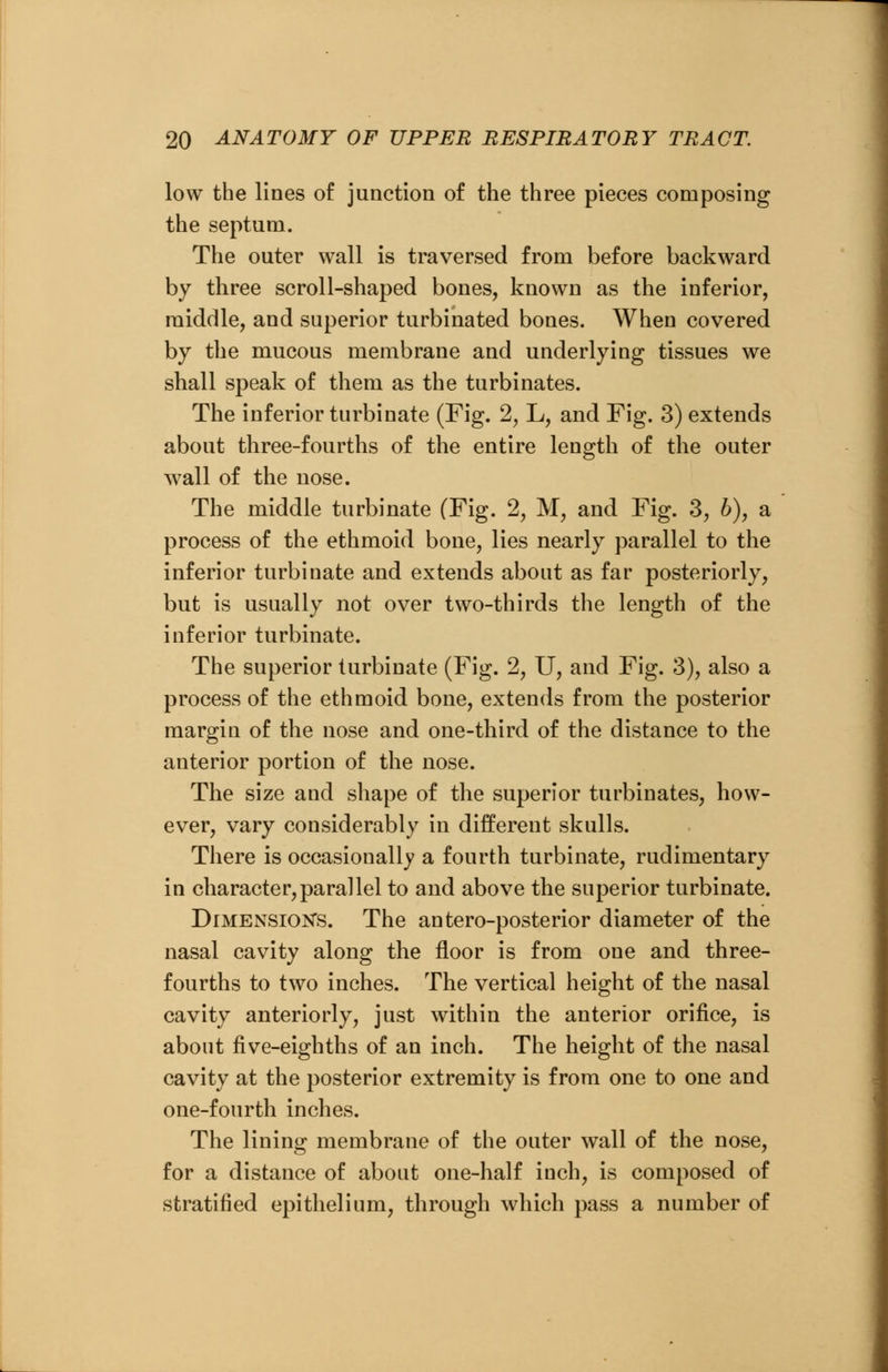 low the lines of junction of the three pieces composing the septum. The outer wall is traversed from before backward by three scroll-shaped bones, known as the inferior, middle, and superior turbinated bones. When covered by the mucous membrane and underlying tissues we shall speak of them as the turbinates. The inferior turbinate (Fig. 2, L, and Fig. 3) extends about three-fourths of the entire length of the outer wall of the nose. The middle turbinate (Fig. 2, M, and Fig. 3, 6), a process of the ethmoid bone, lies nearly parallel to the inferior turbinate and extends about as far posteriorly, but is usually not over two-thirds the length of the inferior turbinate. The superior turbinate (Fig. 2, U, and Fig. 3), also a process of the ethmoid bone, extends from the posterior margin of the nose and one-third of the distance to the anterior portion of the nose. The size and shape of the superior turbinates, how- ever, vary considerably in different skulls. There is occasionally a fourth turbinate, rudimentary in character,parallel to and above the superior turbinate. Dimensions. The antero-posterior diameter of the nasal cavity along the floor is from one and three- fourths to two inches. The vertical height of the nasal cavity anteriorly, just within the anterior orifice, is about five-eighths of an inch. The height of the nasal cavity at the posterior extremity is from one to one and one-fourth inches. The lining membrane of the outer wall of the nose, for a distance of about one-half inch, is composed of stratified epithelium, through which pass a number of