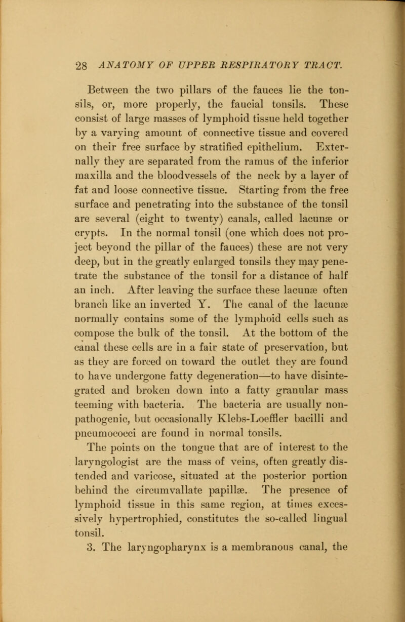 Between the two pillars of the fauces lie the ton- sils, or, more properly, the faucial tonsils. These consist of large masses of lymphoid tissue held together by a varying amount of connective tissue and covered on their free surface by stratified epithelium. Exter- nally they are separated from the ramus of the inferior maxilla and the bloodvessels of the neck by a layer of fat and loose connective tissue. Starting from the free surface and penetrating into the substance of the tonsil are several (eight to twenty) canals, called lacunae or crypts. In the normal tonsil (one which does not pro- ject beyond the pillar of the fauces) these are not very deep, but in the greatly enlarged tonsils they may pene- trate the substance of the tonsil for a distance of half an inch. After leaving the surface these lacunae often branch like an inverted Y. The canal of the lacunae normally contains some of the lymphoid cells such as compose the bulk of the tonsil. At the bottom of the canal these cells are in a fair state of preservation, but as they are forced on toward the outlet they are found to have undergone fatty degeneration—to have disinte- grated and broken down into a fatty granular mass teeming with bacteria. The bacteria are usually non- pathogenic, but occasionally Klebs-Loeffler bacilli and pneumococci are found in normal tonsils. The points on the tongue that are of interest to the laryngologist are the mass of veins, often greatly dis- tended and varicose, situated at the posterior portion behind the circumvallate papillae. The presence of lymphoid tissue in this same region, at times exces- sively hvpertrophied, constitutes the so-called lingual tonsil. 3. The laryngopharynx is a membranous canal, the