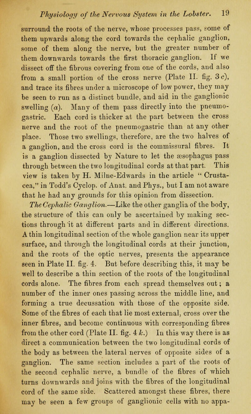 surround the roots of the nerve, whose processes pass, some of them upwards along the cord towards the cephalic ganglion, some of them along the nerve, but the greater number of them downwards towards the first thoracic ganglion. If we dissect off the fibrous covering from one of the cords, and also from a small portion of the cross nerve (Plate II. fig. 3 c), and trace its fibres under a microscope of low power, they may- be seen to run as a distinct bundle, and aid in the ganglionic swelling (a). Many of them pass directly into the pneumo- gastric. Each cord is thicker at the part between the cross nerve and the root of the pneumogastric than at any other place. Those two swellings, therefore, are the two halves of a ganglion, and the cross cord is the commissural fibres. It is a ganglion dissected by Nature to let the eesophagus pass through between the two longitudinal cords at that part. This view is taken by H. Milne-Edwards in the article  Crusta- cea, in Todd's Cyclop, of Anat. andPhys., but I am not aware that he had any grounds for this opinion from dissection. The Cephalic Ganglion.—Like the other ganglia of the body, the structure of this can only be ascertained by making sec- tions through it at different parts and in different directions. A thin longitudinal section of the whole ganglion near its upper surface, and through the longitudinal cords at their junction, and the roots of the optic nerves, presents the appearance seen in Plate II. fig. 4. But before describing this, it may be well to describe a thin section of the roots of the longitudinal cords alone. The fibres from each spread themselves out; a number of the inner ones passing across the middle line, and forming a true decussation with those of the opposite side. Some of the fibres of each that lie most external, cross over the inner fibres, and become continuous with corresponding fibres from the other cord (Plate II. fig. 4 k.) In this way there is as direct a communication between the two longitudinal cords of the body as between the lateral nerves of opposite sides of a ganglion. The same section includes a part of the roots of the second cephalic nerve, a bundle of the fibres of which turns downwards and joins with the fibres of the longitudinal cord of the same side. Scattered amongst these fibres, there may be seen a few groups of ganglionic cells with no appa-