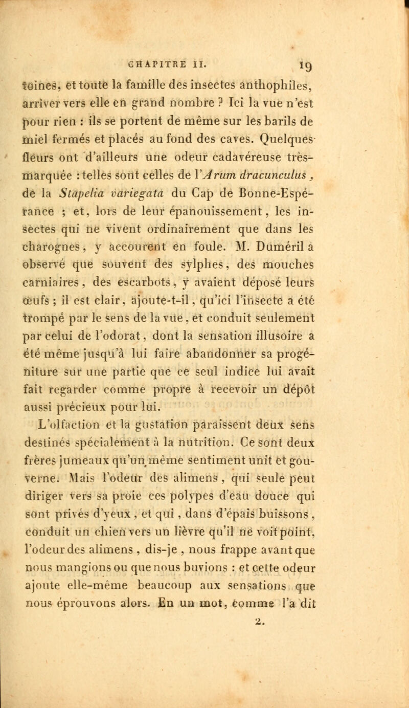 îoines, et toute la famille des insectes anthophiles, arriver vers elle en grand nombre ? Ici la vue n'est pour rien : ils se portent de même sur les barils de miel fermés et placés au fond des caves. Quelques fleurs ont d'ailleurs une odeur cadavéreuse très- marquée : telles sont celles de Y Arum dracunculus , de la Stapelia variegata du Cap de Bonne-Espé- rance ; et. lors de leur épanouissement, les in- sectes qui ne vivent ordinairement que dans les charognes, y accourent en foule. M. Duméril a observé que souvent des sylphes, des mouches carniaires, des escarbots, y avaient déposé leurs œufs ; il est clair, ajoute-t-il, qu'ici l'insecte a été trompé par le sens de la vue, et conduit seulement par celui de l'odorat, dont la sensation illusoire a été même jusqu'à lui faire abandonner sa progé- niture sur une partie que ce seul indice lui avait fait regarder comme propre à recevoir un dépôt aussi précieux pour lui. L'olfaction et la gustation paraissent deux sens destinés spécialement à la nutrition. Ce sont deux frères jumeaux qu'un même sentiment unit et gou- verne. Mais l'odeur des alimens , qui seule peut diriger vers sa proie ces polypes d'eau douce qui sont privés d'yeux , et qui, dans d'épais buissons , conduit un chien vers un lièvre qu'il né voit point, l'odeur des alimens , dis-je , nous frappe avant que nous mangions ou que nous buvions : et cette odeur ajoute elle-même beaucoup aux sensations que nous éprouvons alors. En un mot, comme l'a dit