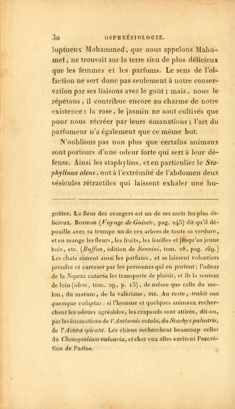 luptueux Mohammed, que nous appelons Maho- met, ne trouvait sur la terre rien de plus délicieux que les femmes et les parfums. Le sens de l'ol- faction ne sert donc pas seulement à notre conser- vation par ses liaisons avec le goût ; mais, nous le répétons , il contribue encore au charme de notre existence: la rose, le jasmin ne sont cultivés que pour nous récréer par leurs émanations ; l'art du parfumeur n'a également que ce même but. N'oublions pas non plus que certains animaux sont porteurs d'une odeur forte qui sert à leur dé- fense. Ainsi les staphylins, et en particulier le Sta- phylînus olens, ont à l'extrémité de l'abdomen deux vésicules rétractiles qui laissent exhaler une hu- goûter. La fleur des orangers est un de ses mets les plus dé- licieux. Bosman {Voyage de Guinée, pag. il\o) dit qu'il dé- pouille avec sa trompe un de ces arbres de toute sa verdure, et en mange les fleurs, les fruits, les feuilles et jusqu'au jeune bois, etc. {Bujfon, édition de Sonnini, tom. 28, pag. 169.) Les chats aiment aussi les parfums, et se laissent volontiers prendre et caresser par les personnes qui en portent; l'odeur de la Nepeta cataria les transporte de plaisir, et ils la sentent de loin [idem, tom. 29, p. 10), de même que celle du me- lon , du marum, de la valériane, etc. Au reste, trahit sua quemque voluptas : si l'homme et quelques animaux recher- chent les odeurs agréables, les crapauds sont attirés, dit-on, parles émanations de l'Anthémis cotula, du Stackyspalustris, de XActœa spicata. Les chiens recherchent beaucoup celle? du Chenopodiumvtilvaiïa, etcheï eux elles excitent l'excré- tion de l'urine.