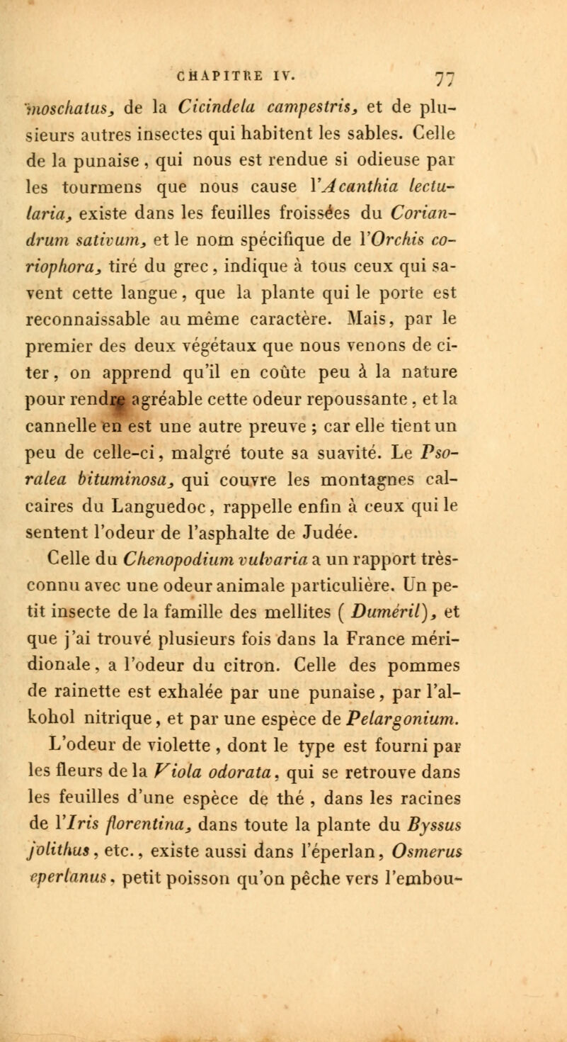 mosckatus, de la Cicindelu campestris, et de plu- sieurs autres insectes qui habitent les sables. Celle de la punaise, qui nous est rendue si odieuse par les tourmens que nous cause YAcantkia lectu- laria, existe dans les feuilles froissées du Corian- drum talivum, et le nom spécifique de YOrchis co- riopkora, tiré du grec, indique à tous ceux qui sa- vent cette langue, que la plante qui le porte est reconnaissable au même caractère. Mais, par le premier des deux végétaux que nous venons de ci- ter , on apprend qu'il en coûte peu à la nature pour rendu agréable cette odeur repoussante . et la cannelle en est une autre preuve ; car elle tient un peu de celle-ci, malgré toute sa suavité. Le Pso- ralea bituminosa, qui couvre les montagnes cal- caires du Languedoc , rappelle enfin à ceux qui le sentent l'odeur de l'asphalte de Judée. Celle du Chenopodium vulvaria a un rapport très- connu avec une odeur animale particulière. Un pe- tit insecte de la famille des mellites ( Duméril), et que j'ai trouvé plusieurs fois dans la France méri- dionale , a l'odeur du citron. Celle des pommes de rainette est exhalée par une punaise, par l'ai- kohol nitrique, et par une espèce de Petargonium. L'odeur de violette , dont le type est fourni par les fleurs de la Viola odorata. qui se retrouve dans les feuilles d'une espèce de thé , dans les racines de Ylris florentina^ dans toute la plante du Byssus jolithus, etc., existe aussi dans l'éperlan, Osmerus eperlanus* petit poisson qu'on pêche vers l'embou-