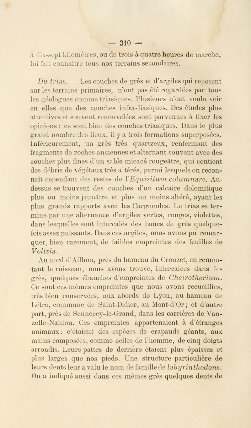 à dix-sept kilomètres, ou de trois à quatre heures de marche, lui i'ait connaître tous nos terrains secondaires. Du trias. — Les couches de grès et d'argiles qui reposent sur les terrains primaires, n'ont pas été regardées par tous les géologues comme triasiques. Plusieurs n'ont voulu voir en elles que des couches infra-liasiques. Des études plus attentives et souvent renouvelées sont parvenues à fixer les opinions : ce sont bien des couches triasiques. Dans le plus grand nombre des lieux, il y a trois formations superposées. Intérieurement, un grès très quartzeux, renfermant des fragments de roches anciennes et alternant souvent avec des couches plus fines d'un sable micacé rougeâtre, qui contient des débris de végétaux très altérés, parmi lesquels on recon- naît cependant des restes de YEquisitum columnare. Au- dessus se trouvent des couches d'un calcaire dolomitique plus ou moins jaunâtre et plus ou moins altéré, ayant les plus grands rapports avec les Cargneules. Le trias se ter- mine par une alternance d'argiles vertes, rouges, violettes, dans lesquelles sont intercalés des bancs de grès quelque- fois assez puissants. Dans ces argiles, nous avons pu remar- quer, bien rarement, de faibles empreintes des feuilles de Voltzia.. Au nord d'Ailhon, près du hameau du Crouzet, en remon- tant le ruisseau, nous avons trouvé, intercalées dans les grès, quelques ébauches d'empreintes de Cheirotherium. Ce sont ces mêmes empreintes que nous avons recueillies, très bien conservées, aux abords de Lyon, au hameau de Létra, commune de Saint-Didier, au Mont-d'Or ; et d'autre part, près de Sennecey-le-Grand, dans les carrières de Van- zelle-Nanton. Ces empreintes appartenaient à d'étranges animaux: c'étaient des espèces de crapauds géants, aux mains composées, comme celles de l'homme, de cinq doigts arrondis. Leurs pattes de derrière étaient plus épaisses et plus larges que nos pieds. Une structure particulière de leurs dents leur a valu le nom de famille de labyrinthodons. On a indiqué aussi dans ces mêmes grès quelques dents de