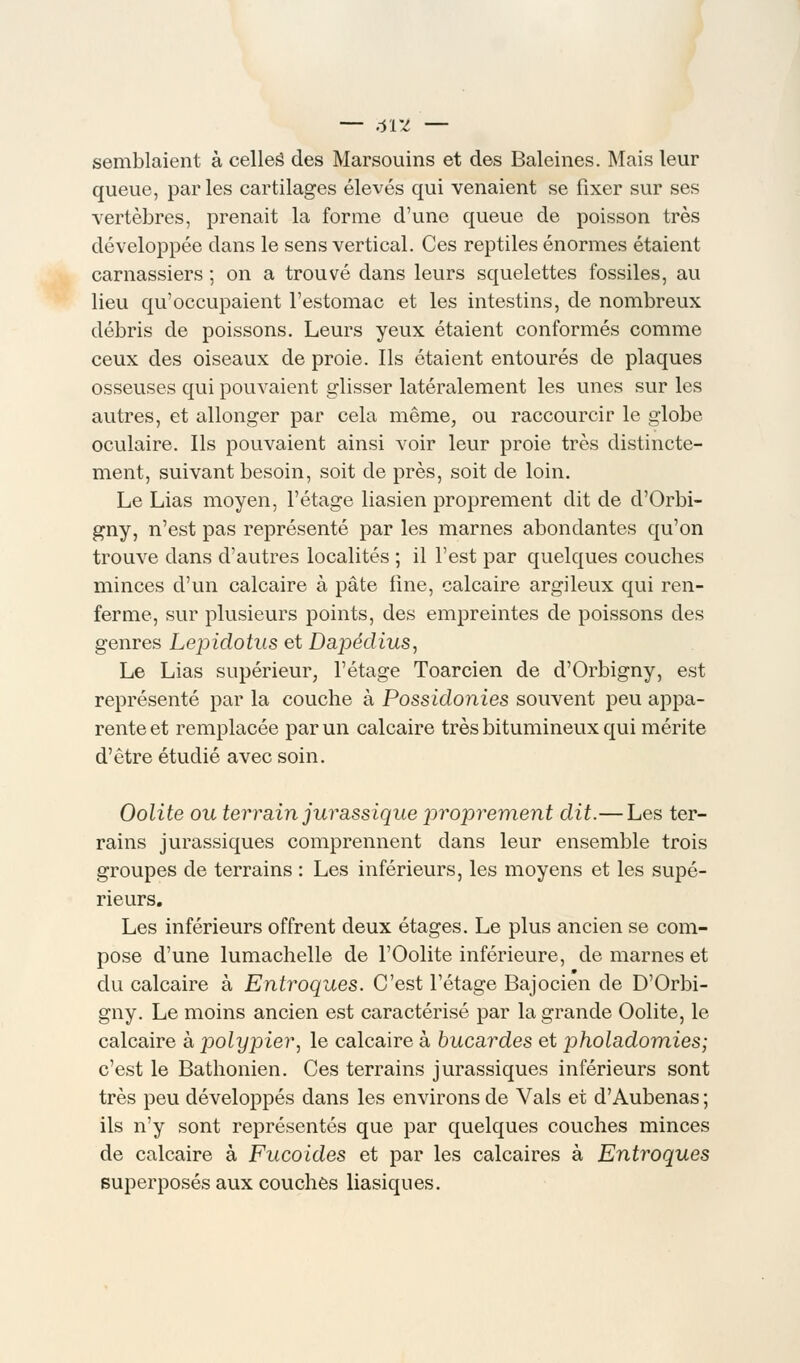 — 6VZ — semblaient à celles des Marsouins et des Baleines. Mais leur queue, par les cartilages élevés qui venaient se fixer sur ses vertèbres, prenait la forme d'une queue de poisson très développée dans le sens vertical. Ces reptiles énormes étaient carnassiers ; on a trouvé dans leurs squelettes fossiles, au lieu qu'occupaient l'estomac et les intestins, de nombreux débris de poissons. Leurs yeux étaient conformés comme ceux des oiseaux de proie. Ils étaient entourés de plaques osseuses qui pouvaient glisser latéralement les unes sur les autres, et allonger par cela même, ou raccourcir le globe oculaire. Ils pouvaient ainsi voir leur proie très distincte- ment, suivant besoin, soit de près, soit de loin. Le Lias moyen, l'étage liasien proprement dit de d'Orbi- gny, n'est pas représenté par les marnes abondantes qu'on trouve dans d'autres localités ; il l'est par quelques couches minces d'un calcaire à pâte fine, calcaire argileux qui ren- ferme, sur plusieurs points, des empreintes de poissons des genres Lepidotus et Dapédius, Le Lias supérieur, l'étage Toarcien de d'Orbigny, est représenté par la couche à Possidonies souvent peu appa- rente et remplacée par un calcaire très bitumineux qui mérite d'être étudié avec soin. Oolite ou terrain jurassique proprement dit.— Les ter- rains jurassiques comprennent dans leur ensemble trois groupes de terrains : Les inférieurs, les moyens et les supé- rieurs. Les inférieurs offrent deux étages. Le plus ancien se com- pose d'une lumachelle de l'Oolite inférieure, de marnes et du calcaire à Entroques. C'est l'étage Bajocien de D'Orbi- gny. Le moins ancien est caractérisé par la grande Oolite, le calcaire à polypier, le calcaire à bucardes et pholadomies; c'est le Bathonien. Ces terrains jurassiques inférieurs sont très peu développés dans les environs de Vais et d'Aubenas ; ils n'y sont représentés que par quelques couches minces de calcaire à Fucoides et par les calcaires à Entroques superposés aux couches liasiques.