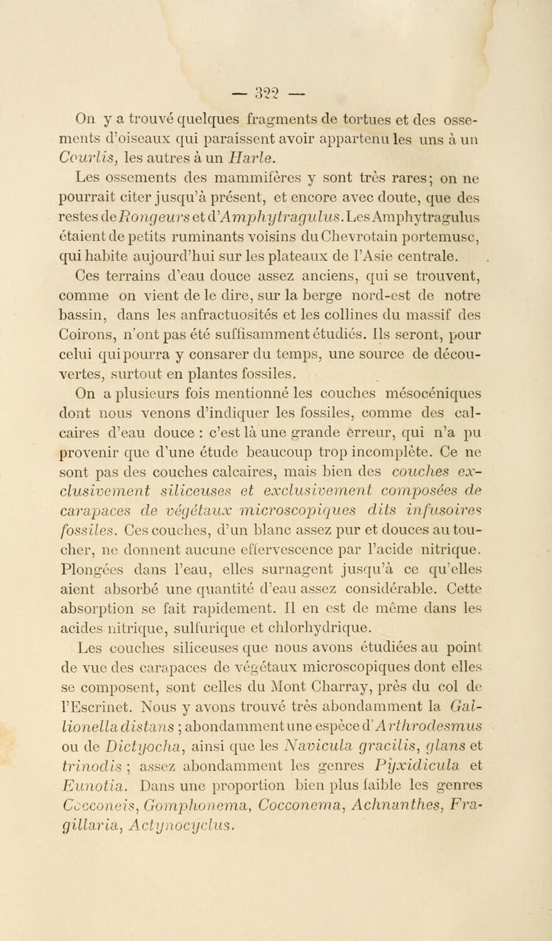 On y a trouvé quelques fragments de tortues et des osse- ments d'oiseaux qui paraissent avoir appartenues uns à un Courlis, les autres à un Harle. Les ossements des mammifères y sont très rares ; on ne pourrait citer jusqu'à présent, et encore avec doute, que des restes deRongeurs et d'Amphytragulus.Les Amphytragulus étaient de petits ruminants voisins duChe-vrotain portemusc, qui habite aujourd'hui sur les plateaux de l'Asie centrale. Ces terrains d'eau douce assez anciens, qui se trouvent, comme on vient de le dire, sur la berge nord-est de notre bassin, dans les anfractuosités et les collines du massif des Coirons, n'ont pas été suffisamment étudiés. Ils seront, pour celui qui pourra y consarer du temps, une source de décou- vertes, surtout en plantes fossiles. On a plusieurs fois mentionné les couches mésocéniques dont nous venons d'indiquer les fossiles, comme des cal- caires d'eau douce : c'est là une grande erreur, qui n'a pu provenir que d'une étude beaucoup trop incomplète. Ce ne sont pas des couches calcaires, mais bien des couches ex- clusivement siliceuses et exclusivement composées de carapaces de végétaux microscopiques dits infusoires fossiles. Ces couches, d'un blanc assez pur et douces au tou- cher, ne donnent aucune effervescence par l'acide nitrique. Plongées dans l'eau, elles surnagent jusqu'à ce qu'elles aient absorbé une quantité d'eau assez considérable. Cette absorption se fait rapidement. Il en est de même dans les acides nitrique, sulfurique et chlorhydrique. Les couches siliceuses que nous avons étudiées au point de vue des carapaces de végétaux microscopiques dont elles se composent, sont celles du Mont Charray, près du col de l'Escrinet. Nous y avons trouvé très abondamment la Gal- lionella distans ; abondamment une espèce d'Arthrodesmus ou de Dictyocha, ainsi que les Navicula gracilis, glans et trinodis ; assez abondamment les genres Pijxidicula et Eunotia. Dans une proportion bien plus faible les genres CccconeiSj Gomphonema, Cocconema, Achnanthes, Fra- gillaria, Actynocyclus.