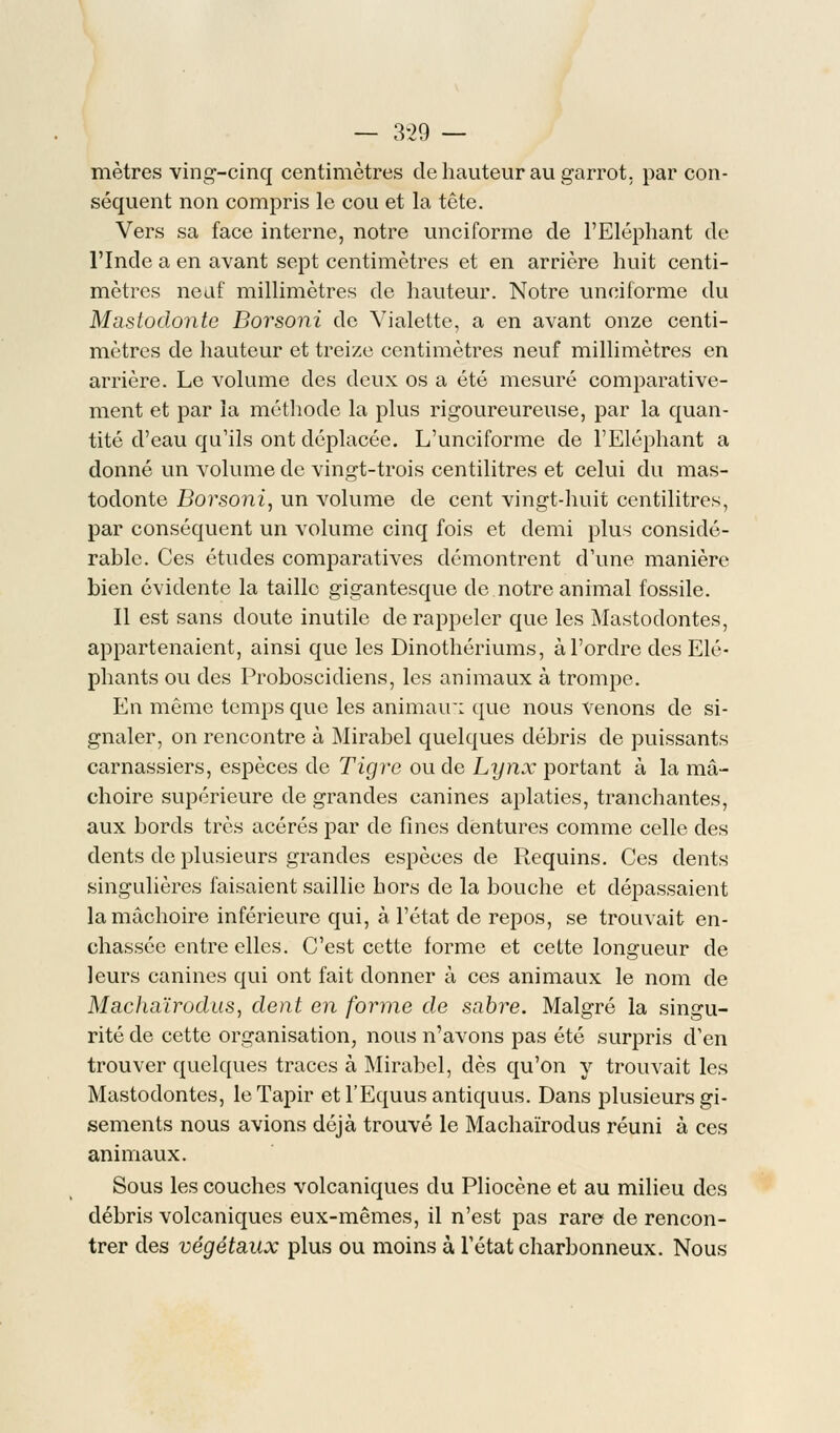 mètres ving-cinq centimètres de hauteur au garrot, par con- séquent non compris le cou et la tête. Vers sa face interne, notre unciforme de l'Eléphant de l'Inde a en avant sept centimètres et en arrière huit centi- mètres neuf millimètres de hauteur. Notre unciforme du Mastodonte Borsoni de Vialette, a en avant onze centi- mètres de hauteur et treize centimètres neuf millimètres en arrière. Le volume des deux os a été mesuré comparative- ment et par la méthode la plus rigoureureuse, par la quan- tité d'eau qu'ils ont déplacée. L'unciforme de l'Eléphant a donné un volume de vingt-trois centilitres et celui du mas- todonte Borsoni, un volume de cent vingt-huit centilitres, par conséquent un volume cinq fois et demi plus considé- rable. Ces études comparatives démontrent d'une manière bien évidente la taille gigantesque de notre animal fossile. Il est sans doute inutile de rappeler que les Mastodontes, appartenaient, ainsi que les Dinothériums, à l'ordre des Elé- phants ou des Proboscidiens, les animaux à trompe. En même temps que les animair: que nous venons de si- gnaler, on rencontre à Mirabel quelques débris de puissants carnassiers, espèces de Tigre ou de Lynx portant à la mâ- choire supérieure de grandes canines aplaties, tranchantes, aux bords très acérés par de fines dentures comme celle des dents de plusieurs grandes espèces de Requins. Ces dents singulières faisaient saillie hors de la bouche et dépassaient la mâchoire inférieure qui, à l'état de repos, se trouvait en- châssée entre elles. C'est cette forme et cette longueur de leurs canines qui ont fait donner à ces animaux le nom de Machaïrodus, dent en forme de sabre. Malgré la singu- rité de cette organisation, nous n'avons pas été surpris d'en trouver quelques traces à Mirabel, dès qu'on y trouvait les Mastodontes, le Tapir etl'Equusantiquus. Dans plusieurs gi- sements nous avions déjà trouvé le Machaïrodus réuni à ces animaux. Sous les couches volcaniques du Pliocène et au milieu des débris volcaniques eux-mêmes, il n'est pas rare de rencon- trer des végétaux plus ou moins à l'état charbonneux. Nous